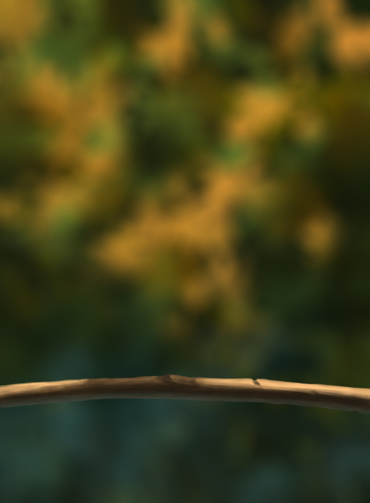 DPS Prog-1-1-Exercice5-Oiseau-Etape1_Cyril_.jpg