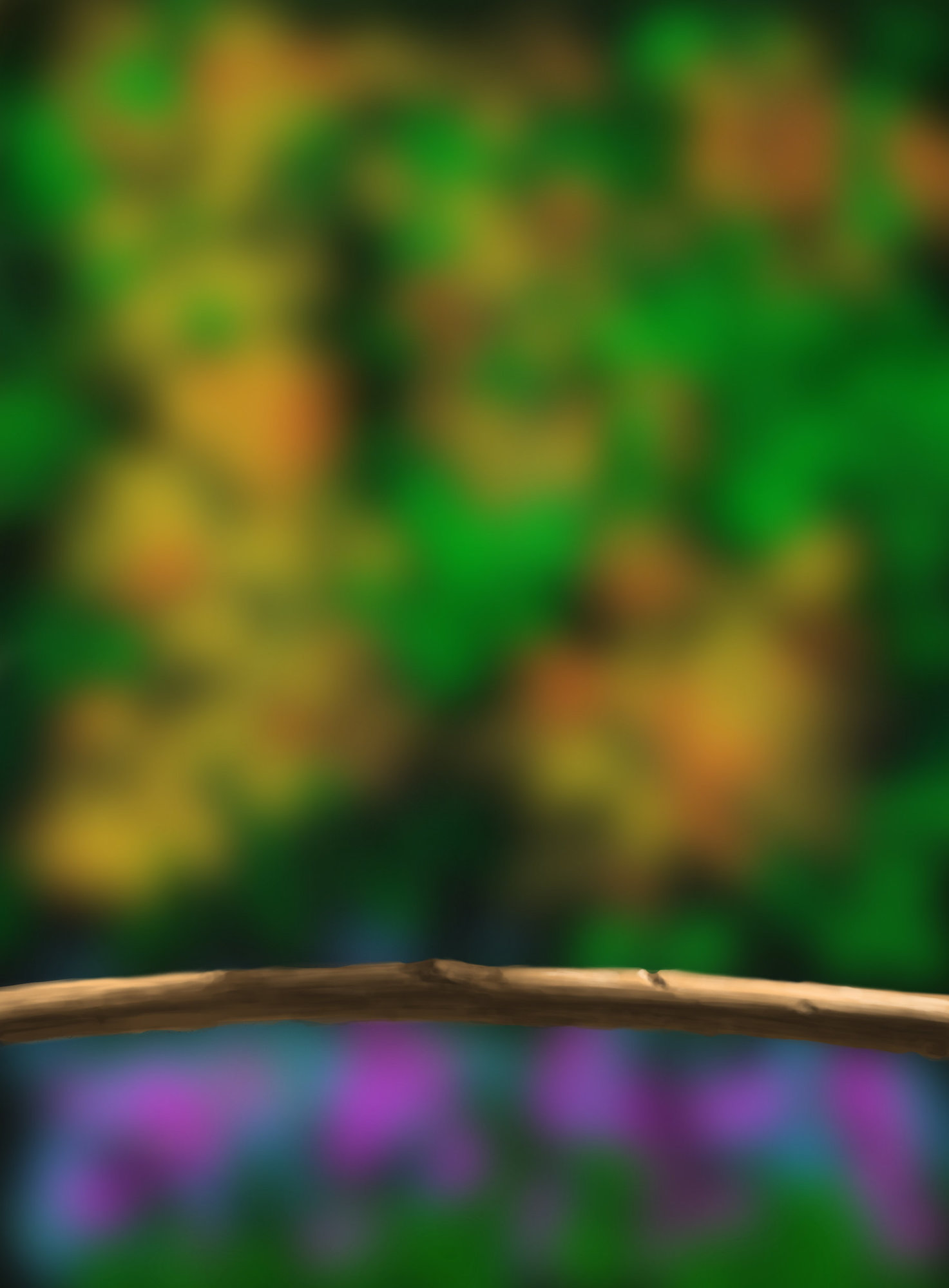 DPS Prog-1-1-Exercice5-Oiseau-Etape1_Cyril.jpg