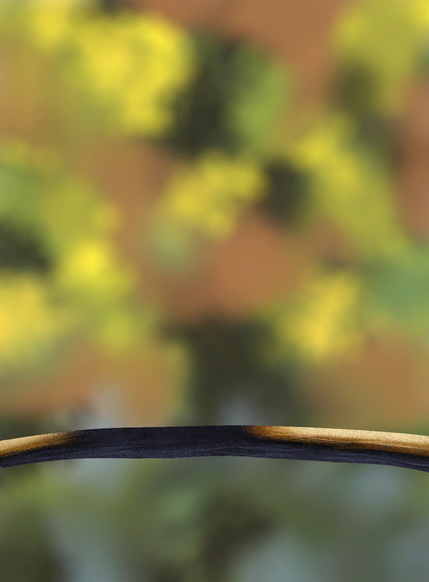 Exercice5-Oiseau 2.jpg