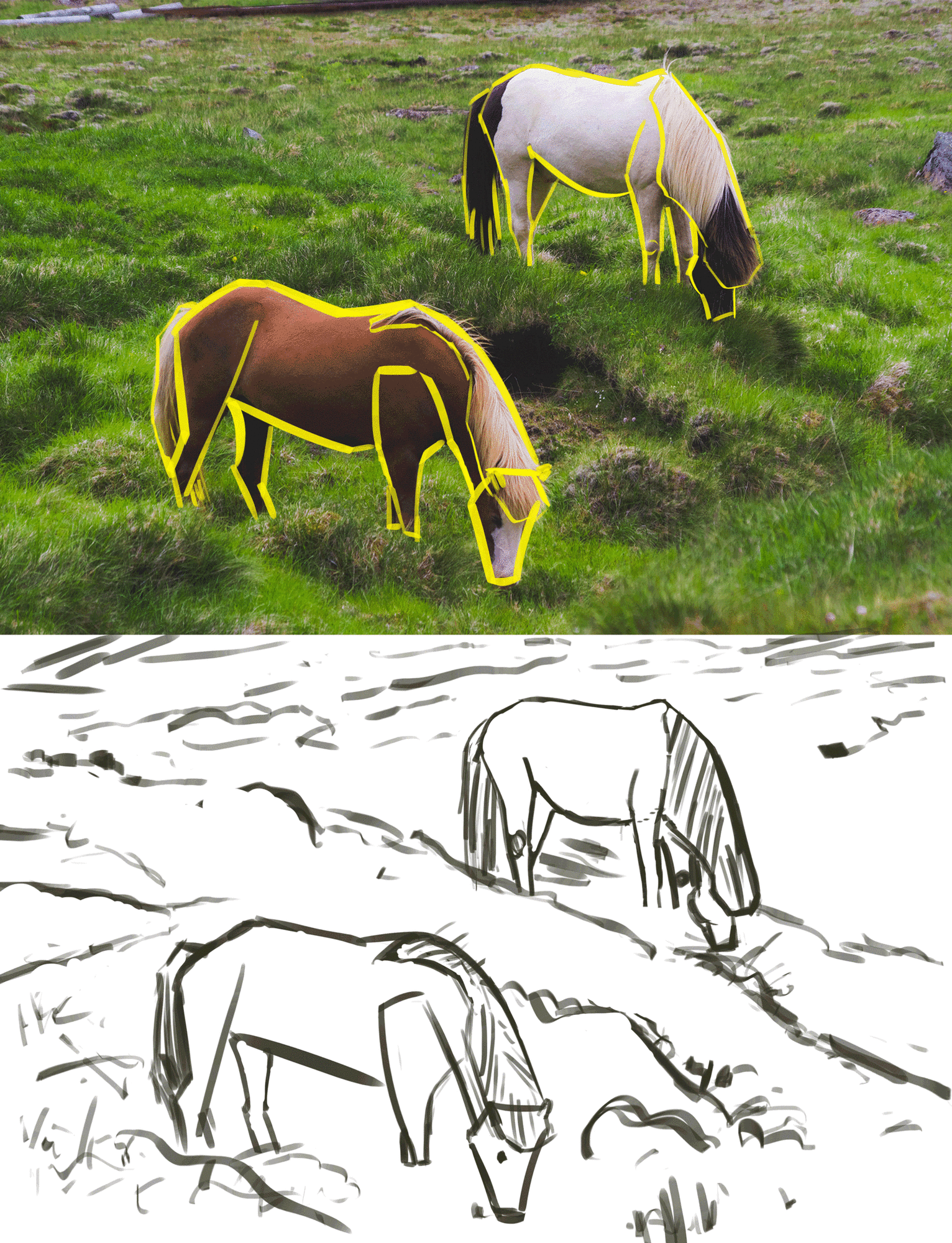 Chevaux_Croquis_à_partir_de_formes_Etape_GIF.gif