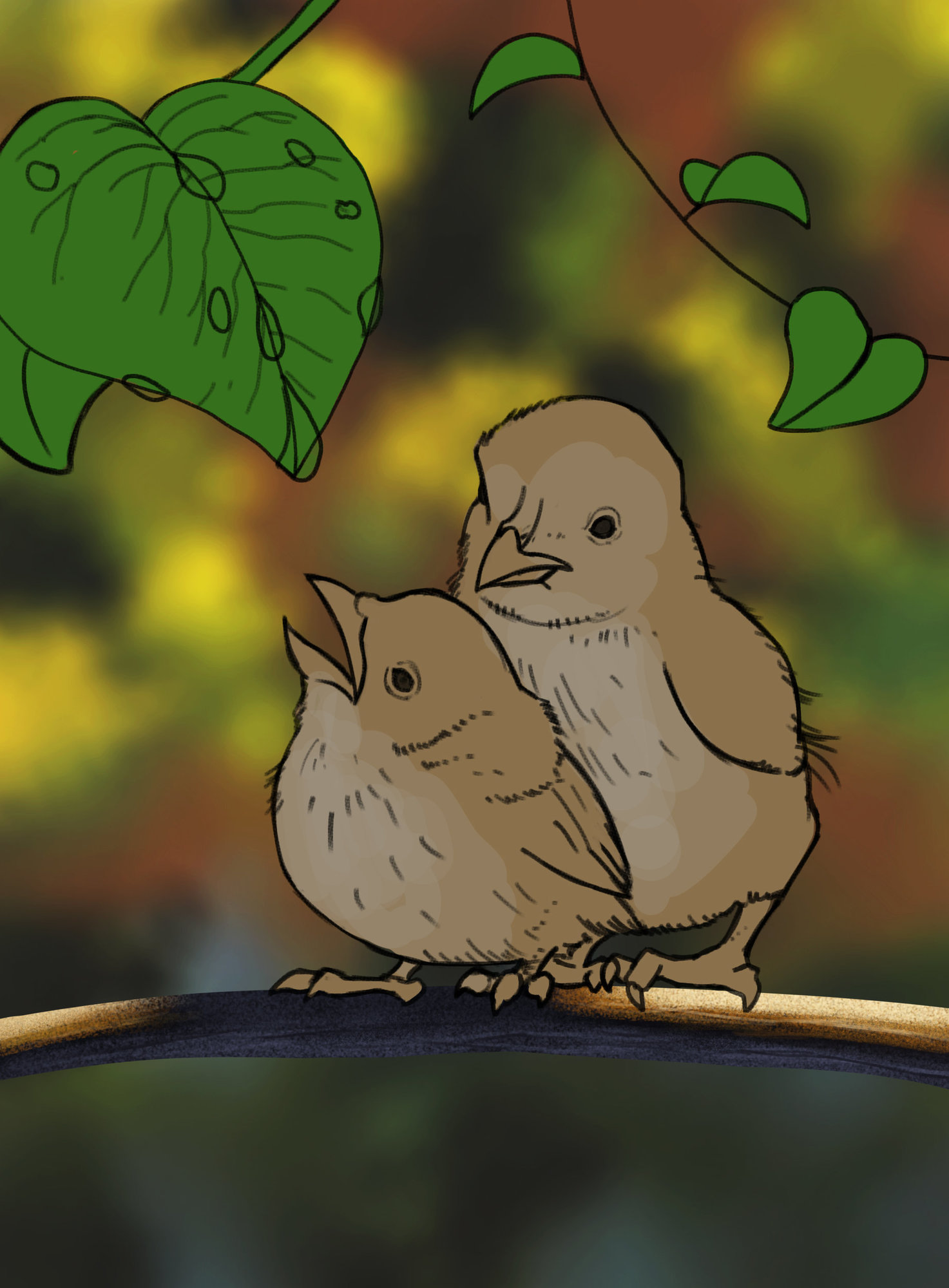 Exercice 6 oiseau.jpg