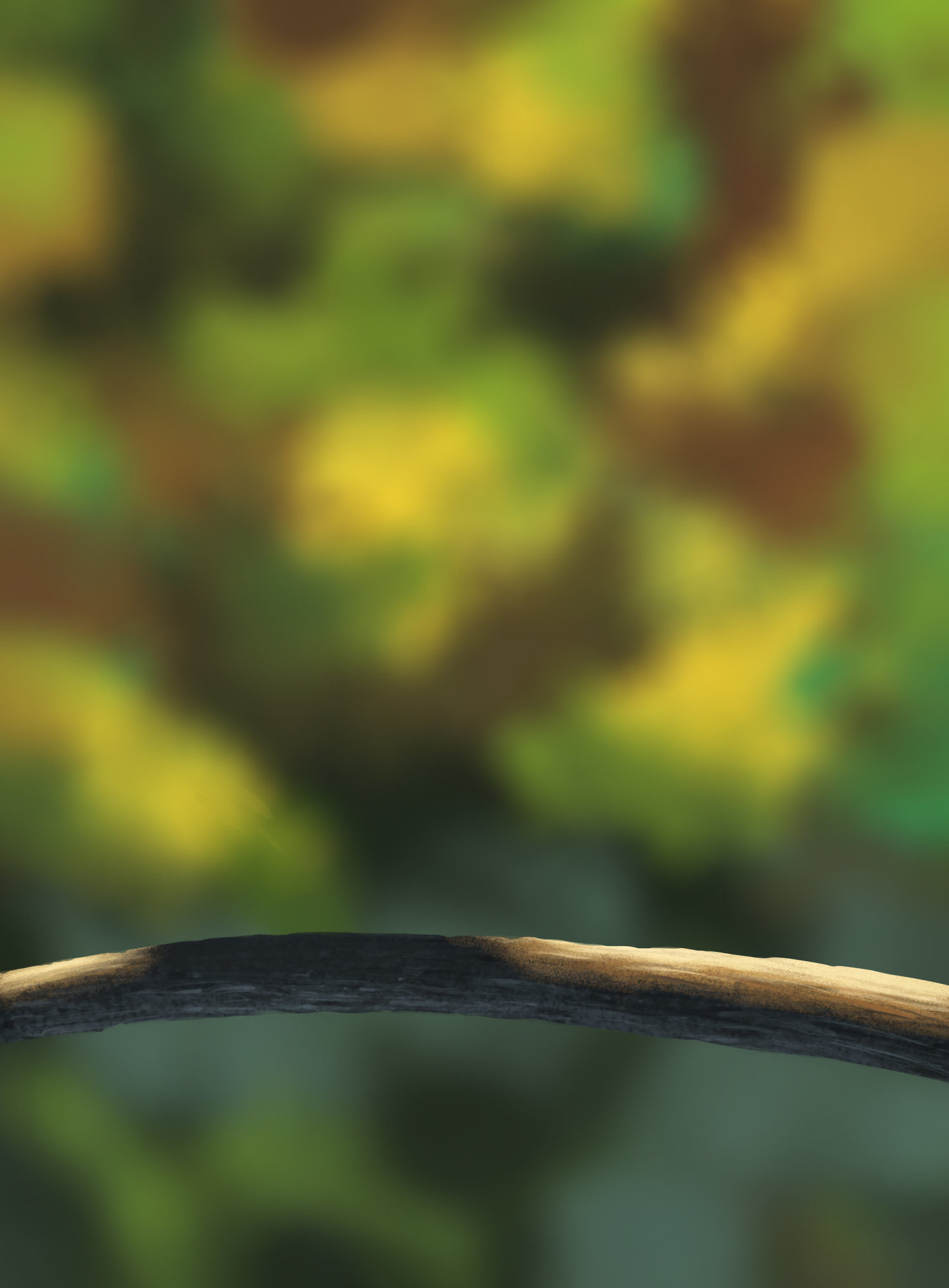 DPS Prog-1-1-Exercice5-Oiseau-Commencement FINAL.jpg