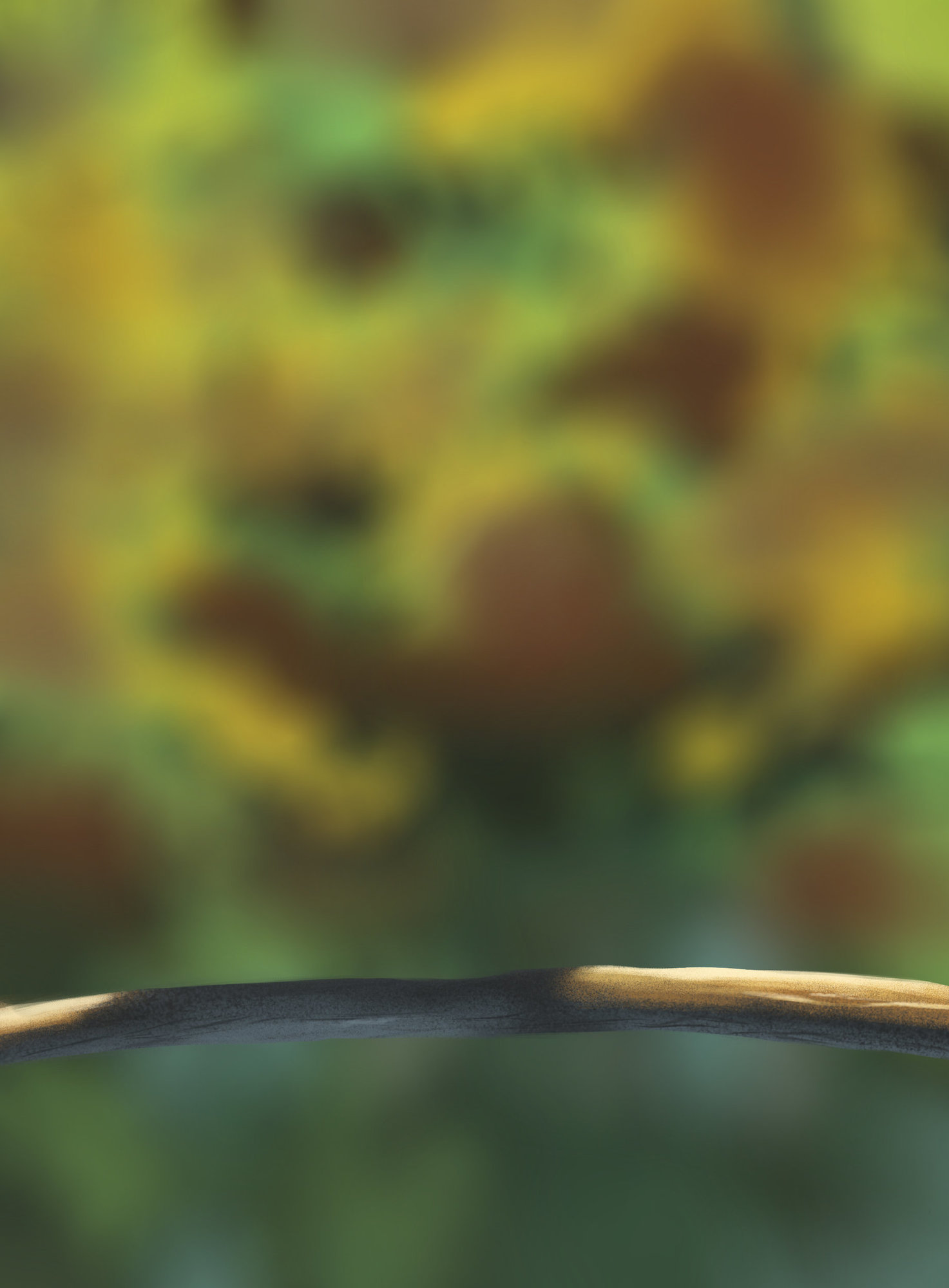 Exercice 5 - Oiseaux partie 1.jpg