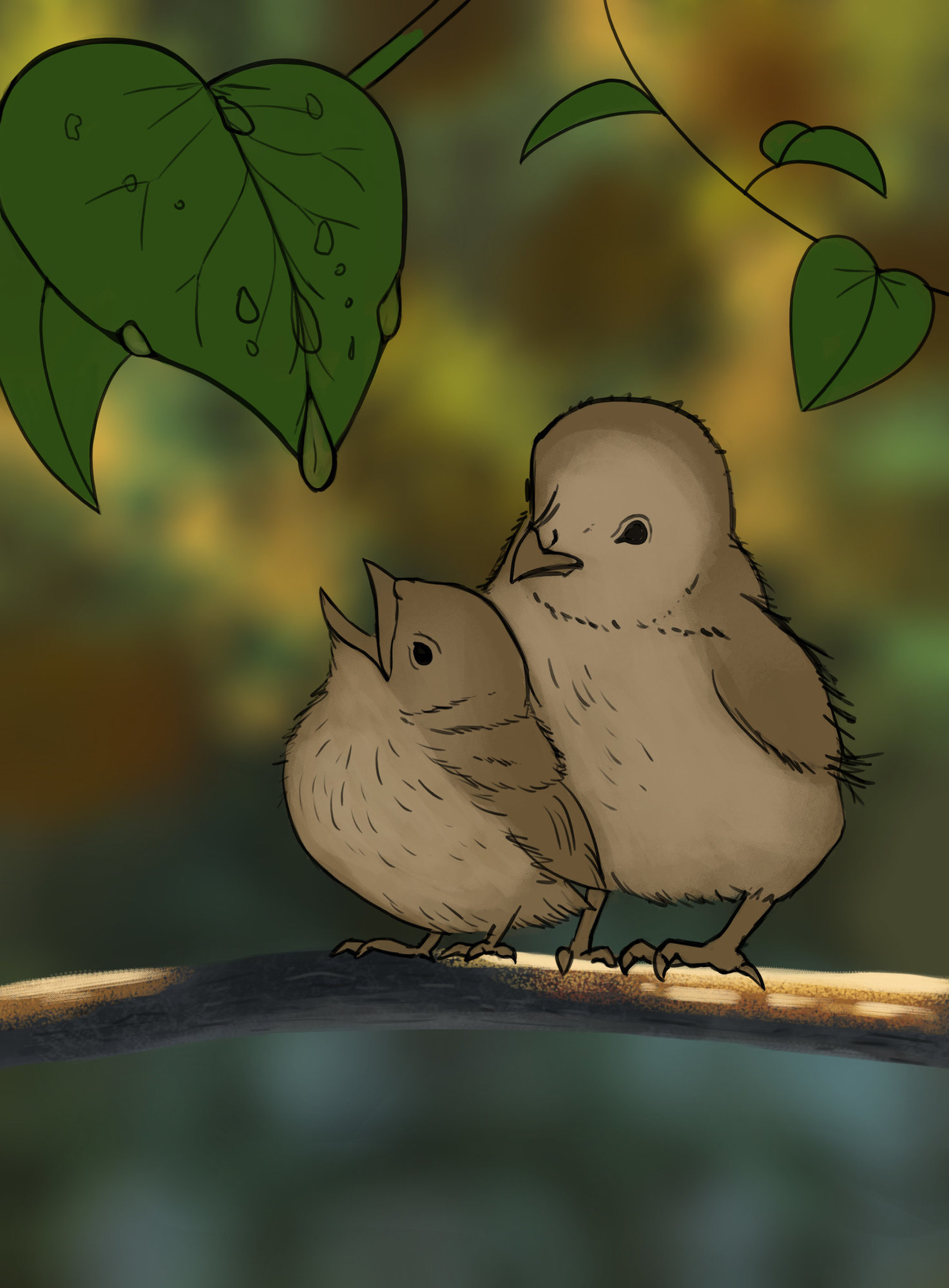 Exercice finale chapitre 2 oisillons.jpg