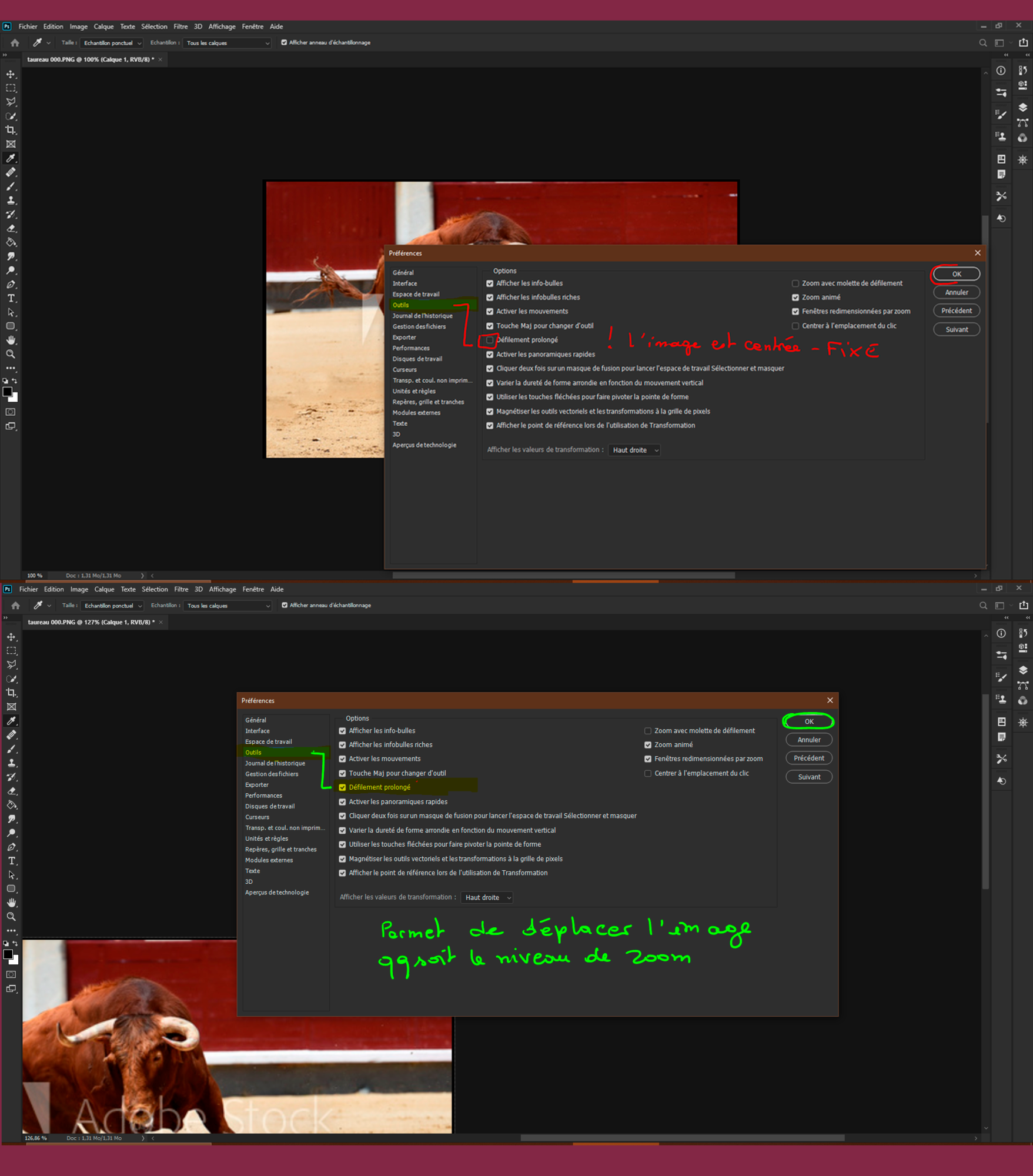 Défilement d'image 000.png