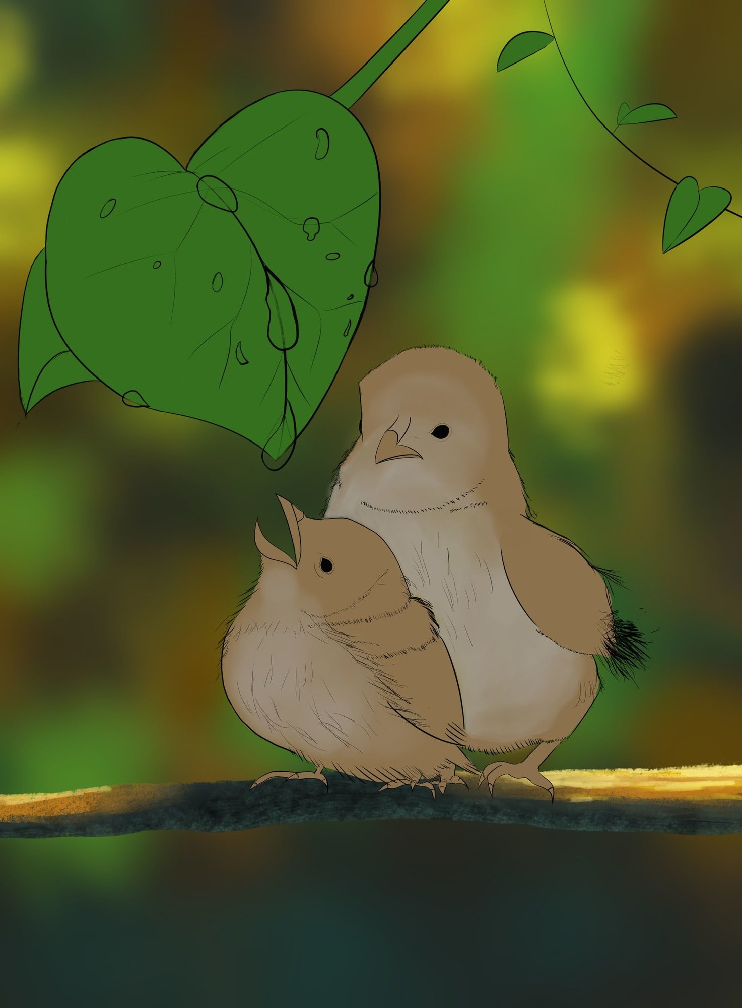 branche des oisillons.jpg