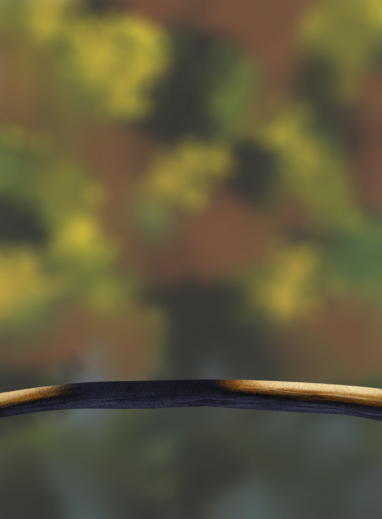 Exercice5-Oiseau 2.jpg