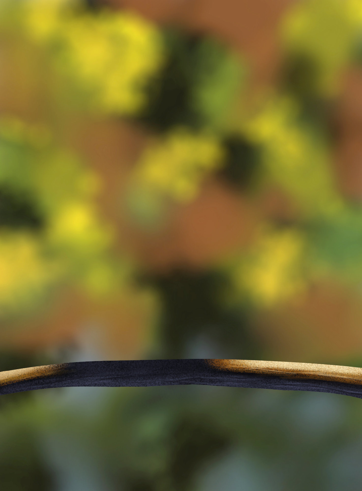 Exercice5-Oiseau 3.jpg