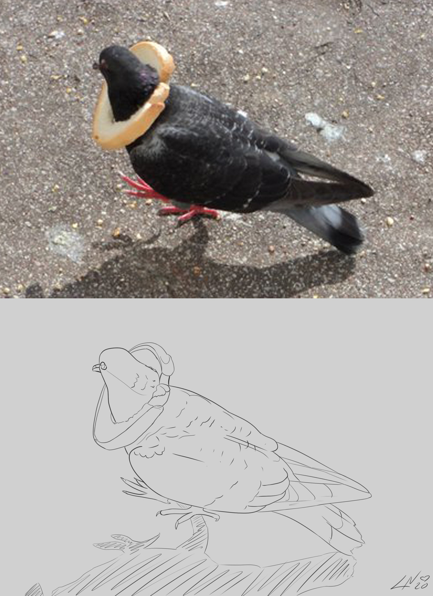 pigeoncroutoncroquis.jpg