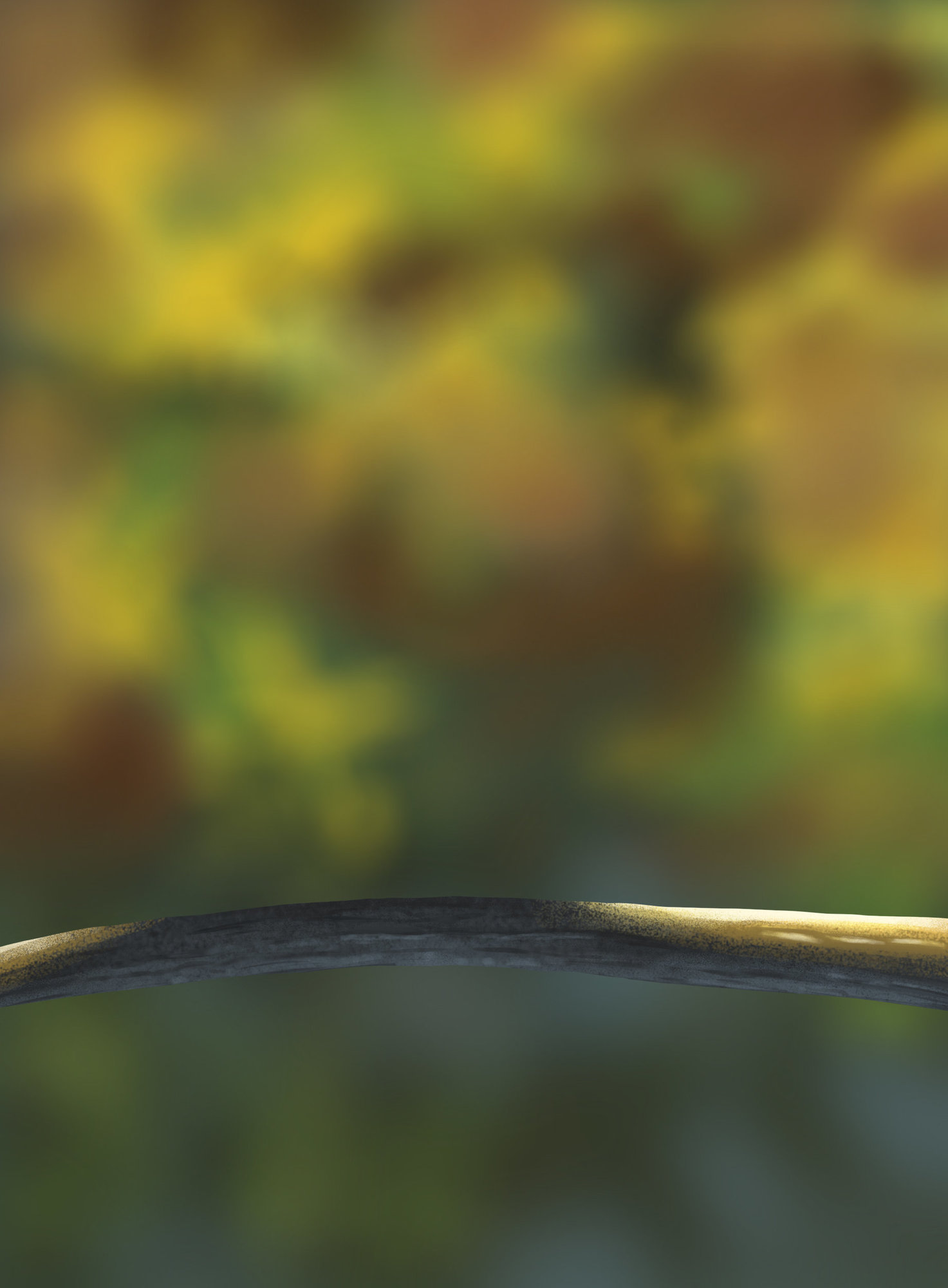 DPS Prog-1-1-Exercice5-Oiseau-Commencement.jpg