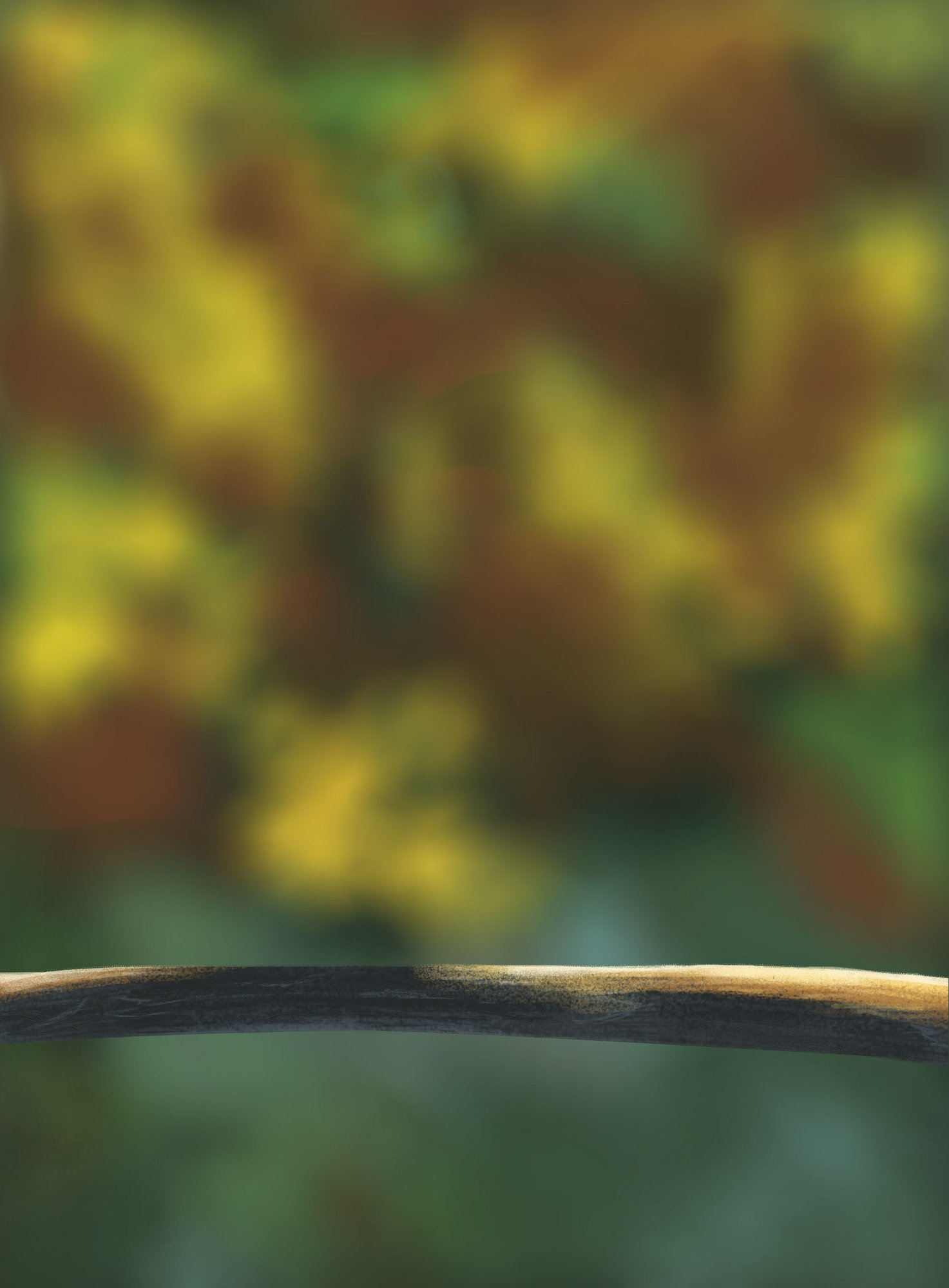 DPS Prog-1-1-Exercice5-Oiseau-Commencement.jpg