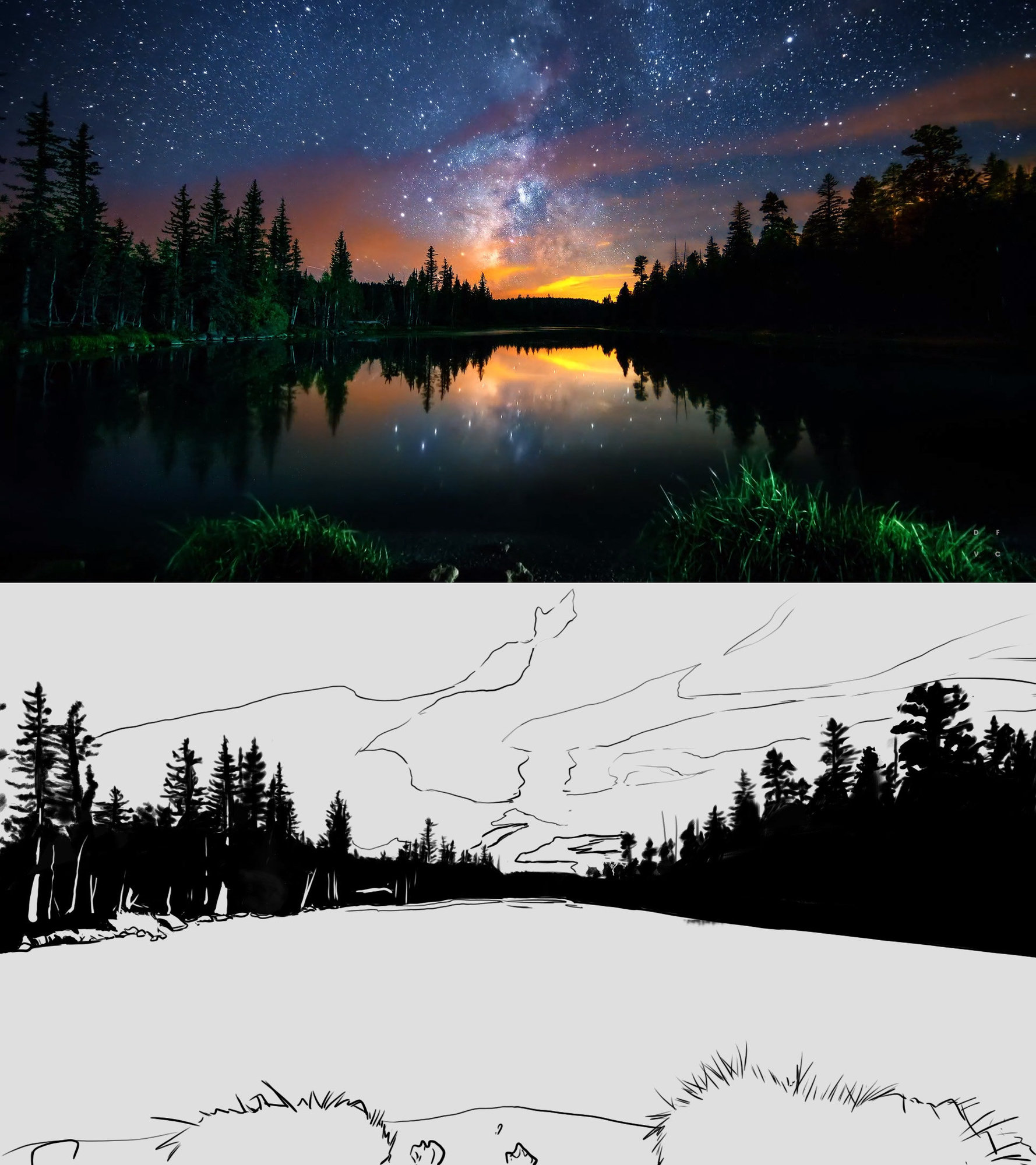 landscape sapin lac nuit etoilé encré 1.jpg