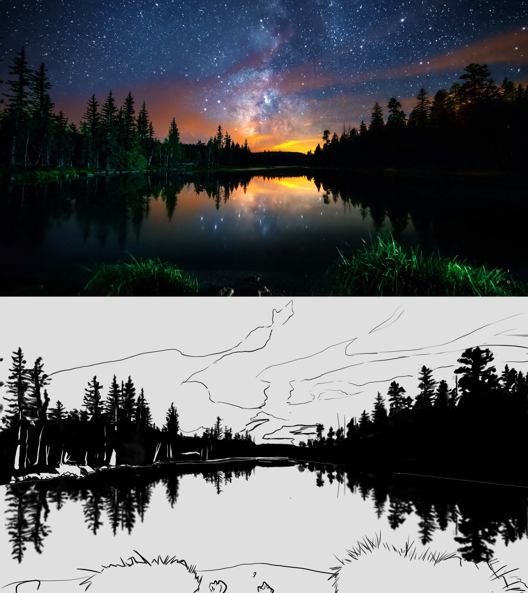 landscape sapin lac nuit etoilé croquis encré.jpg