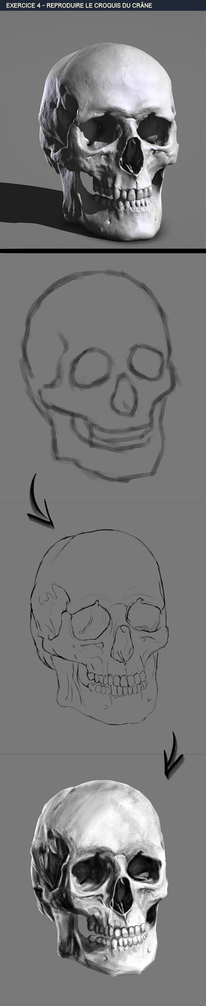 croquis evolution.jpg