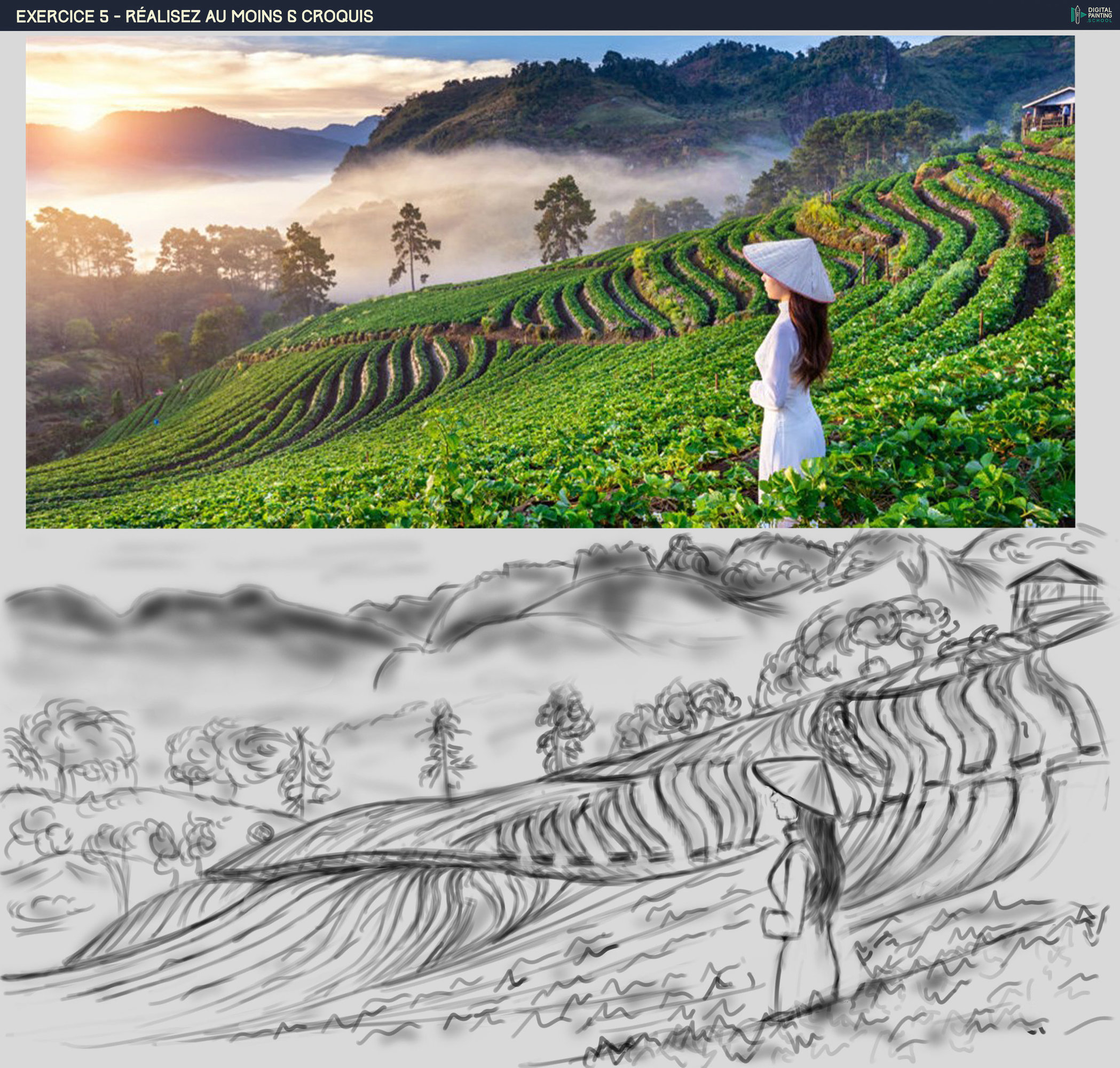 DPS-Prog-1-2-exercice5-paysage thé V2.jpg