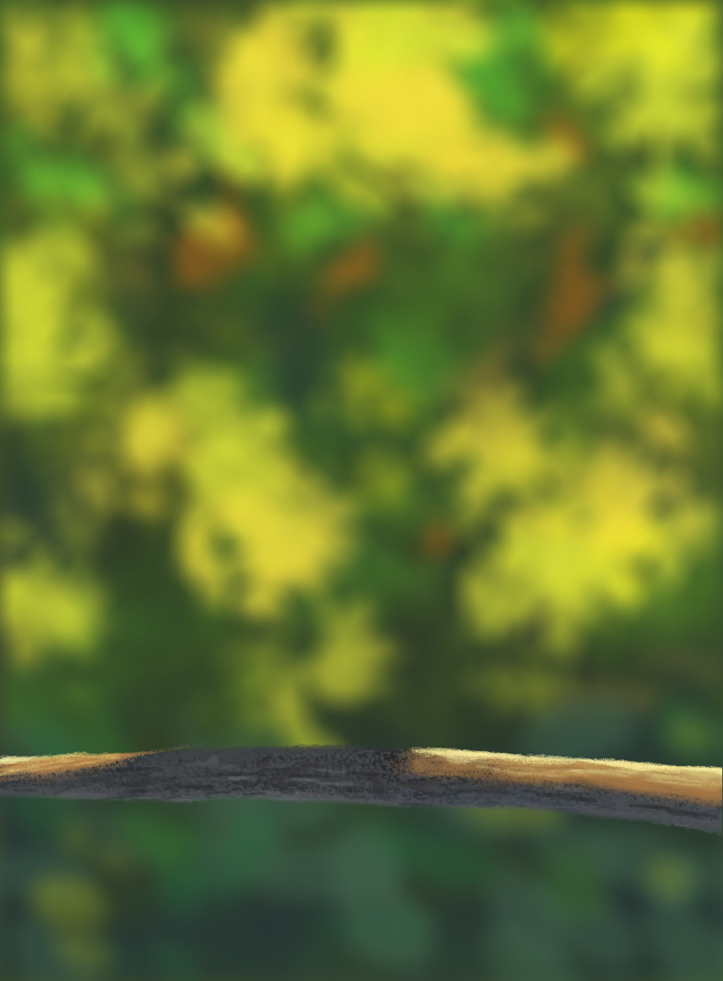 DPS Prog-1-1-Exercice5-Oiseau-E1-ED.jpg