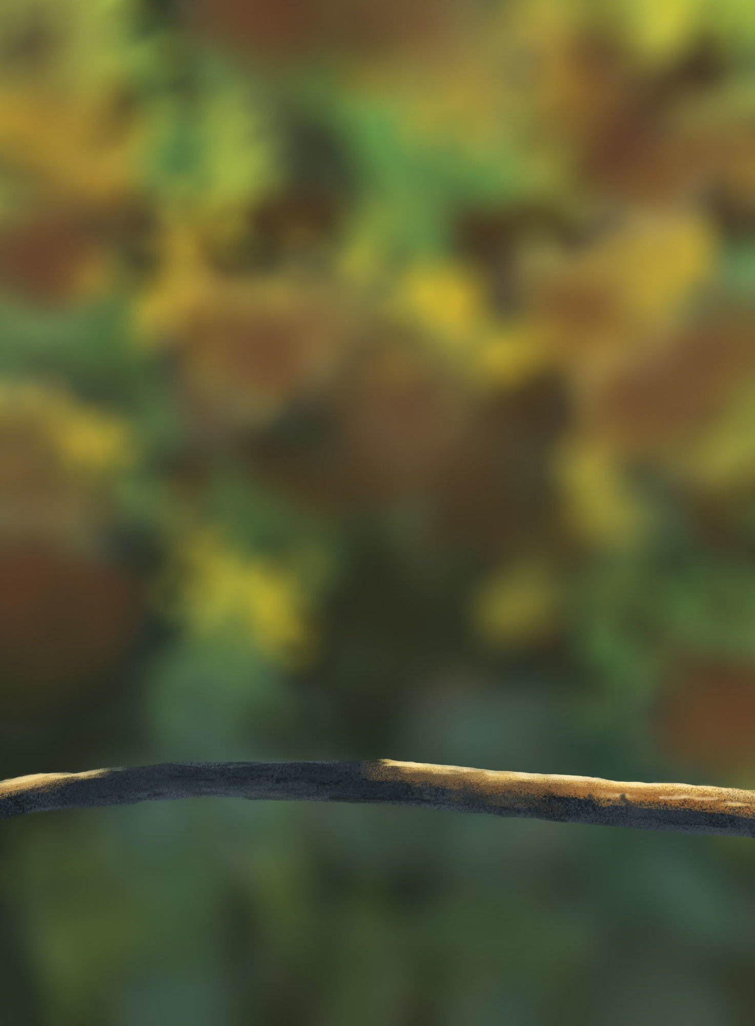 DPS Prog-1-1-Exercice5-Oiseau V2.jpg