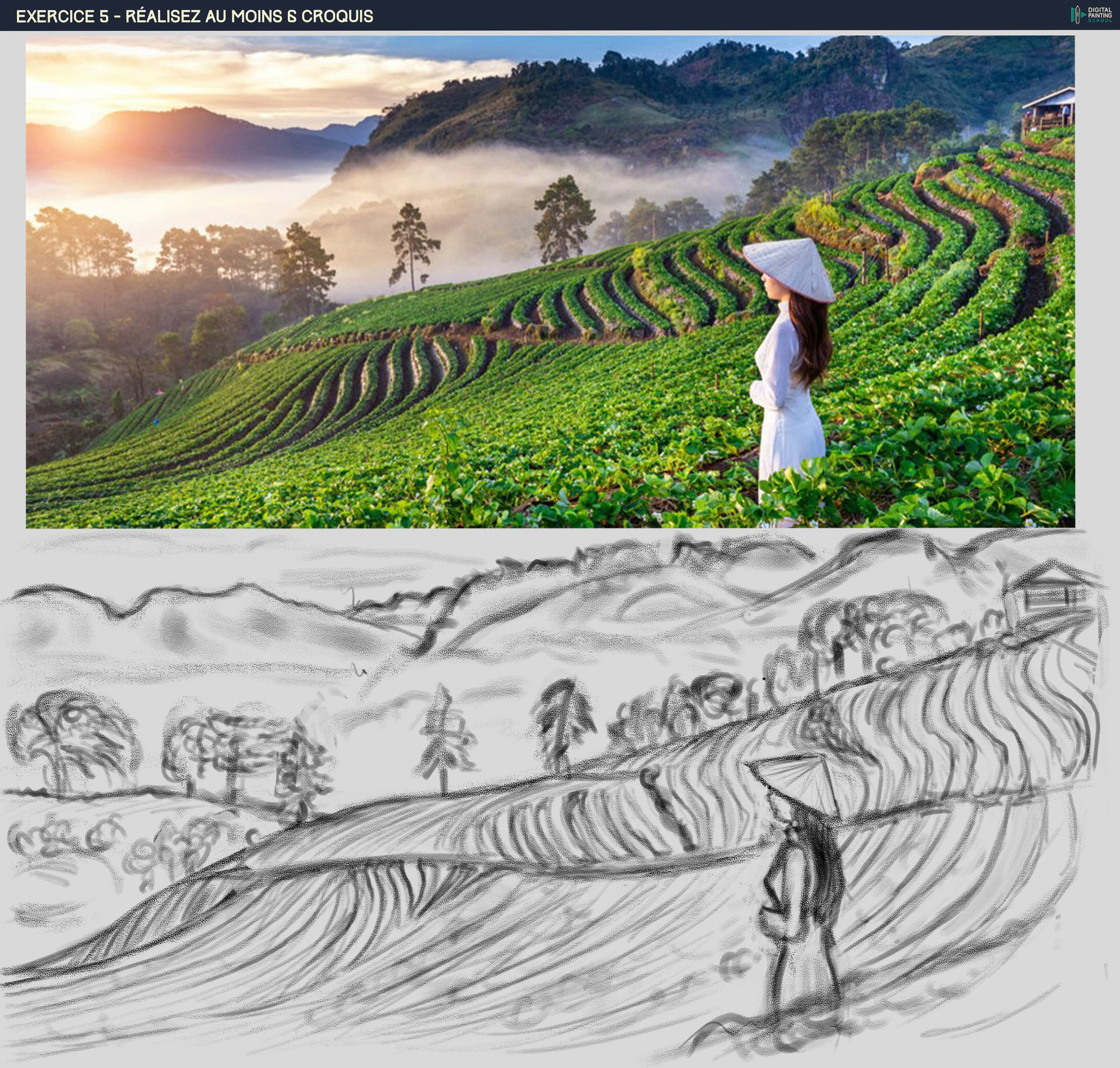 DPS-Prog-1-2-exercice5-paysage thé.jpg