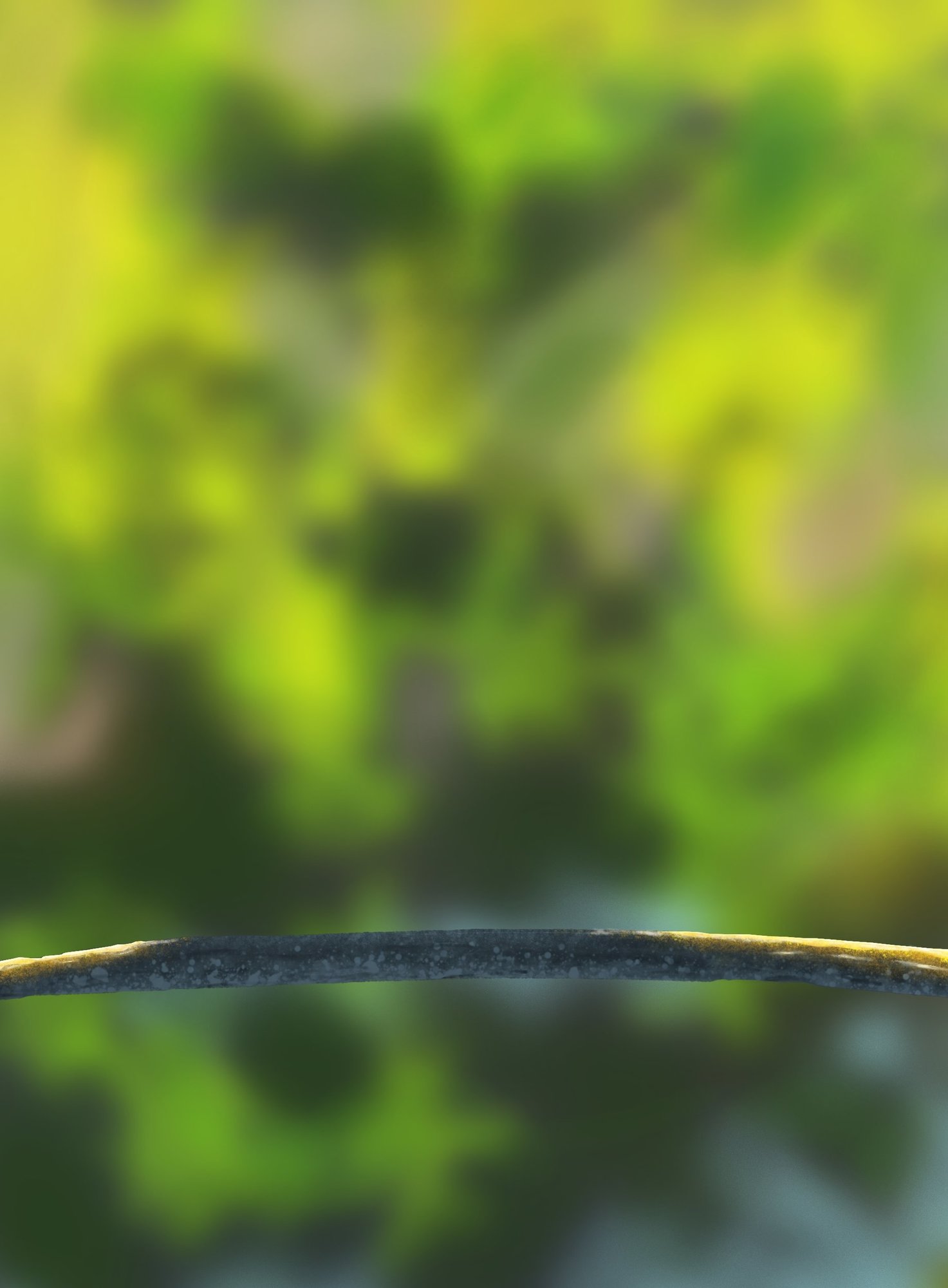 DPS Prog-1-1-Exercice5-Oiseau-Commencement.jpg