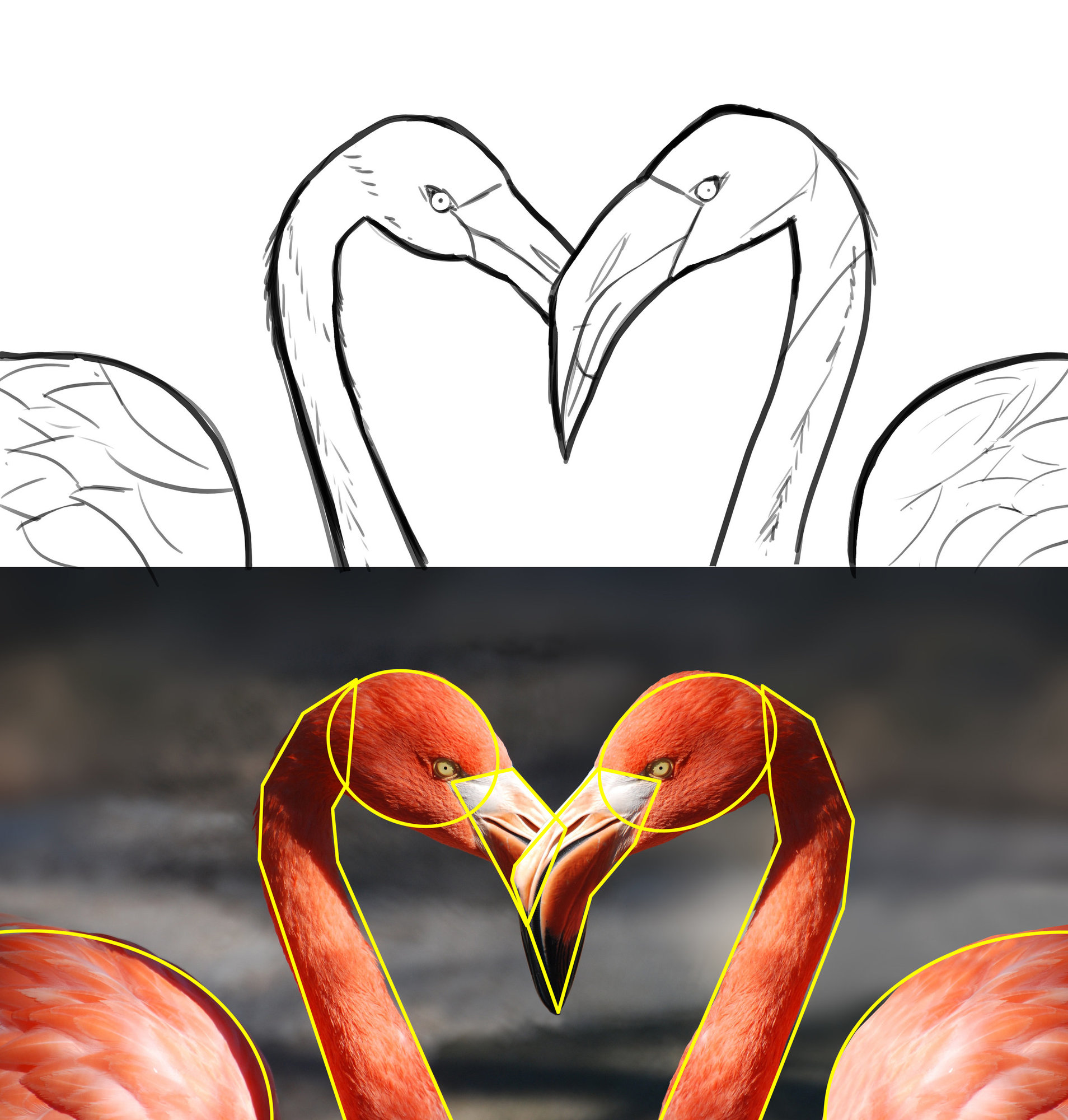 flamingo-valentine-heart-valentine-s-day-39627.jpg