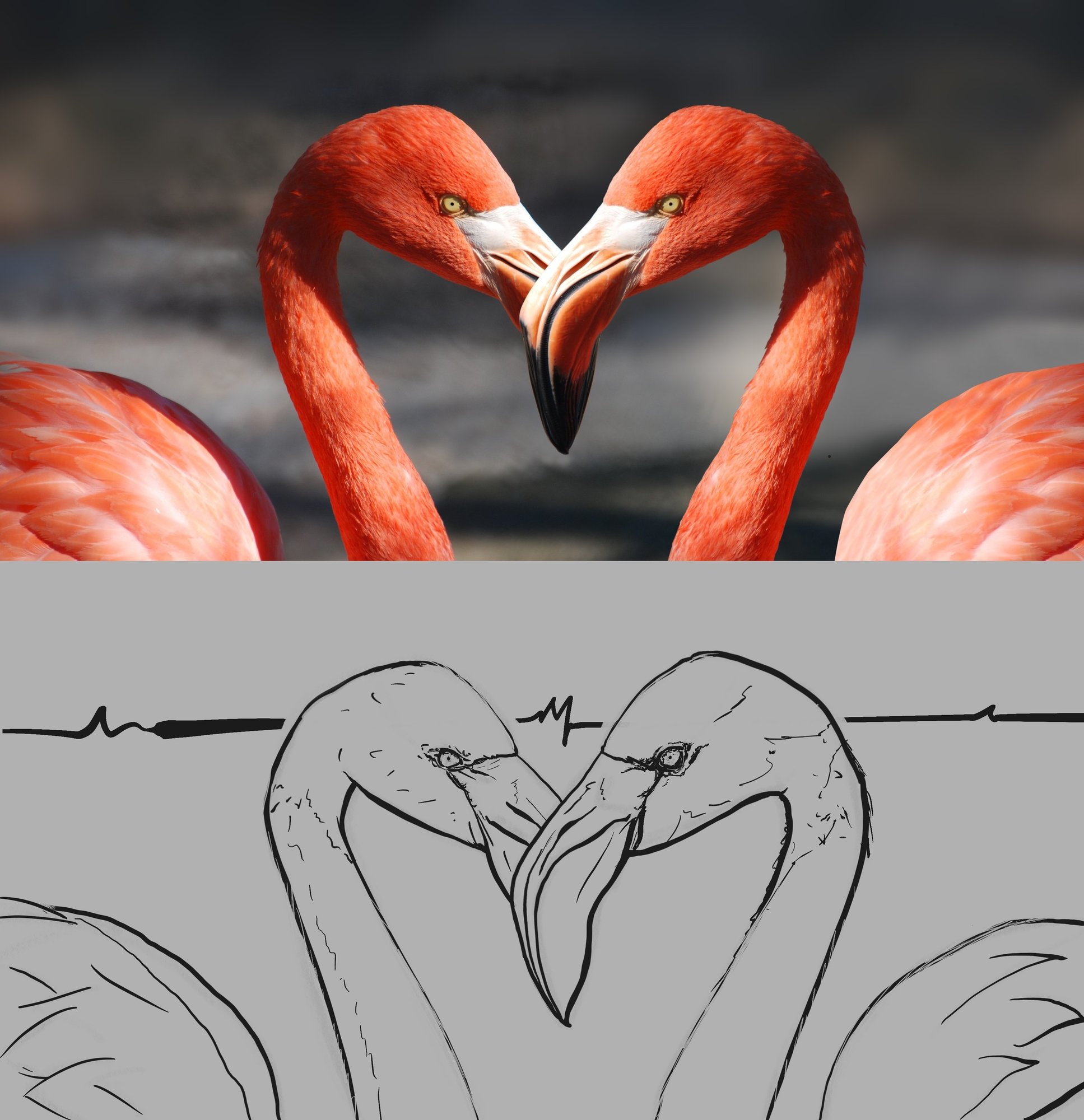 flamingo-valentine-heart-valentine-s-day-39627.jpg