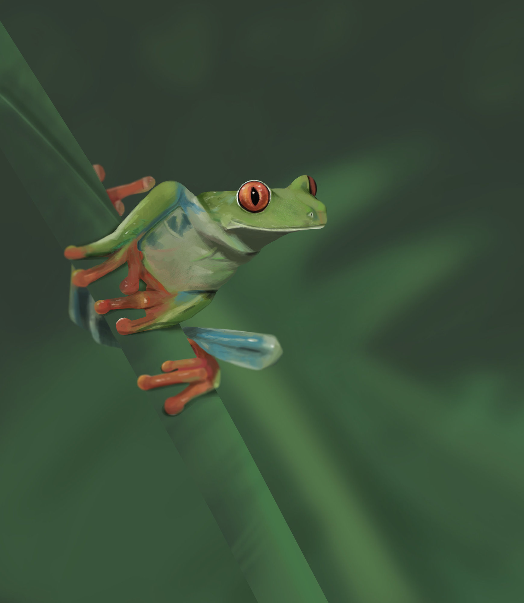 frog.jpg