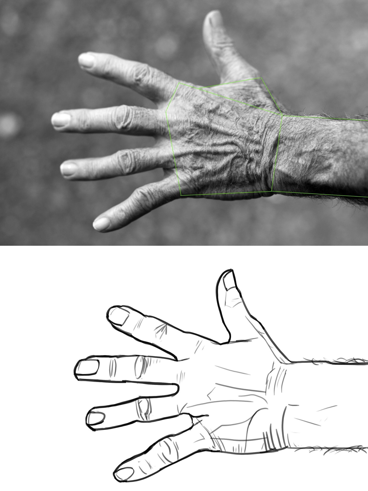 hand-elderly-woman-wrinkles-black-and-white-54321.jpg