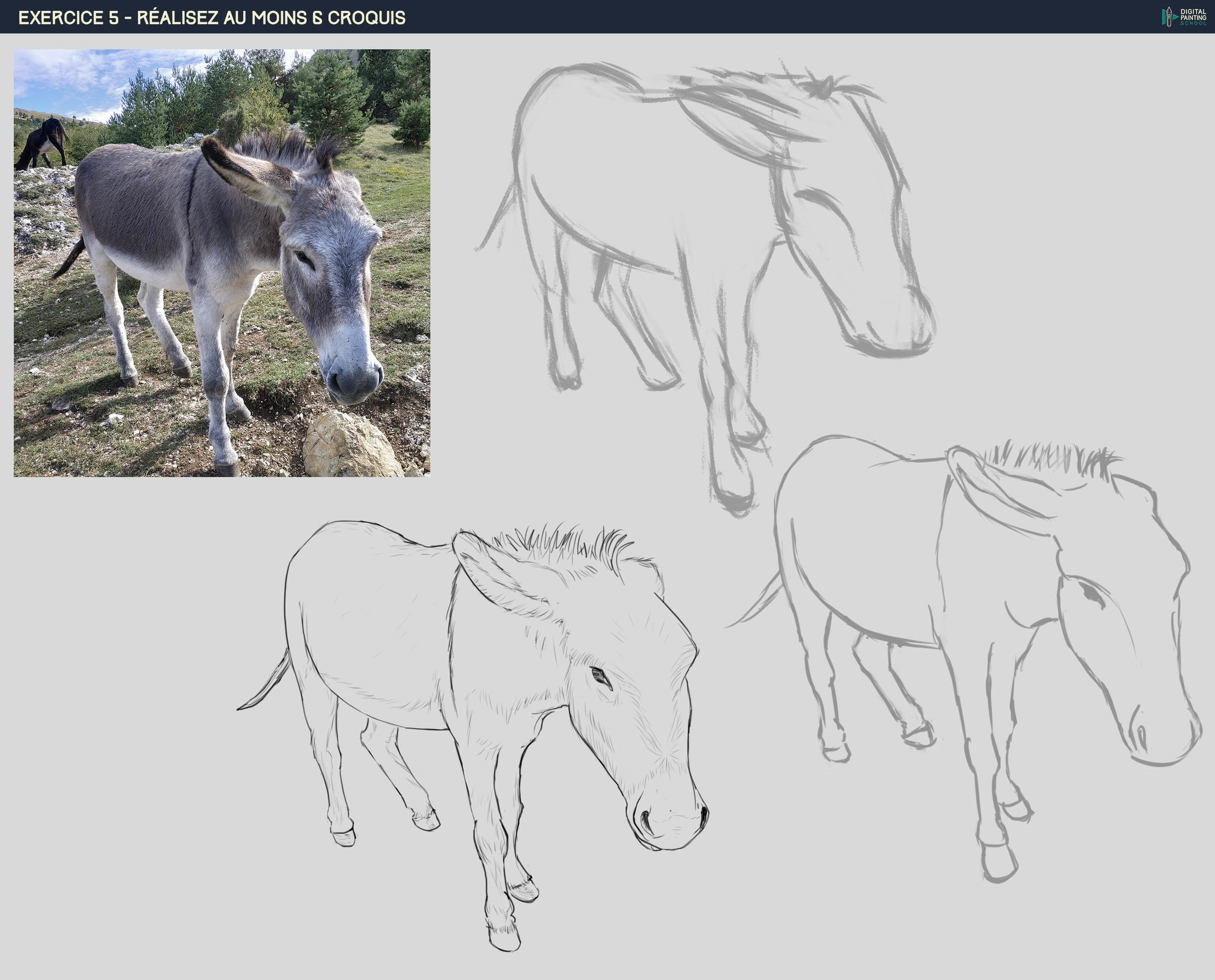 DPS-Prog-1-2-exercice5 L'ane.jpg