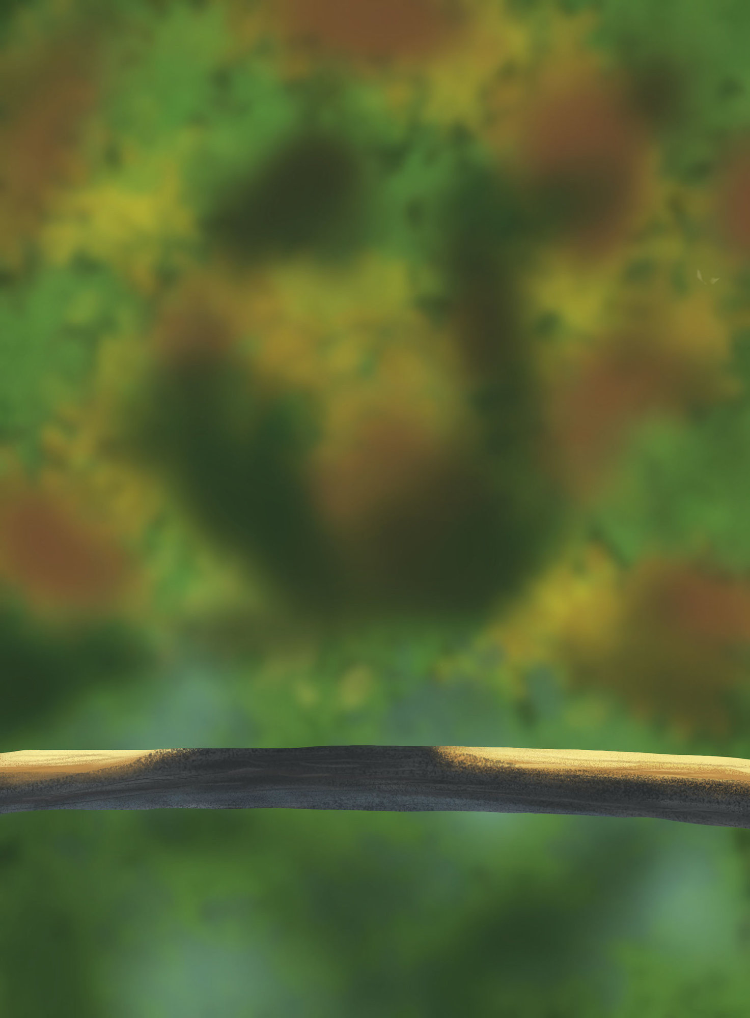 Oiseaux Pratique.jpg