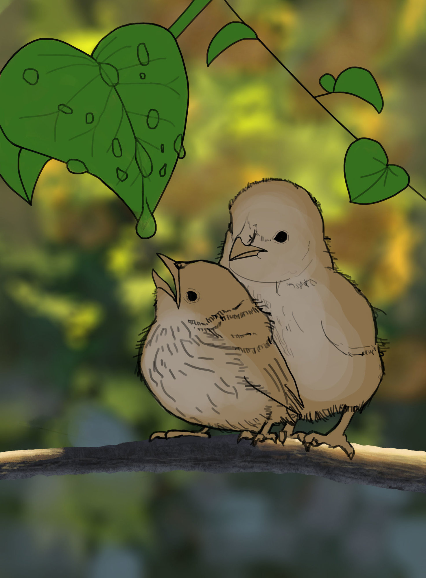 Oiseaux étape 2.jpg