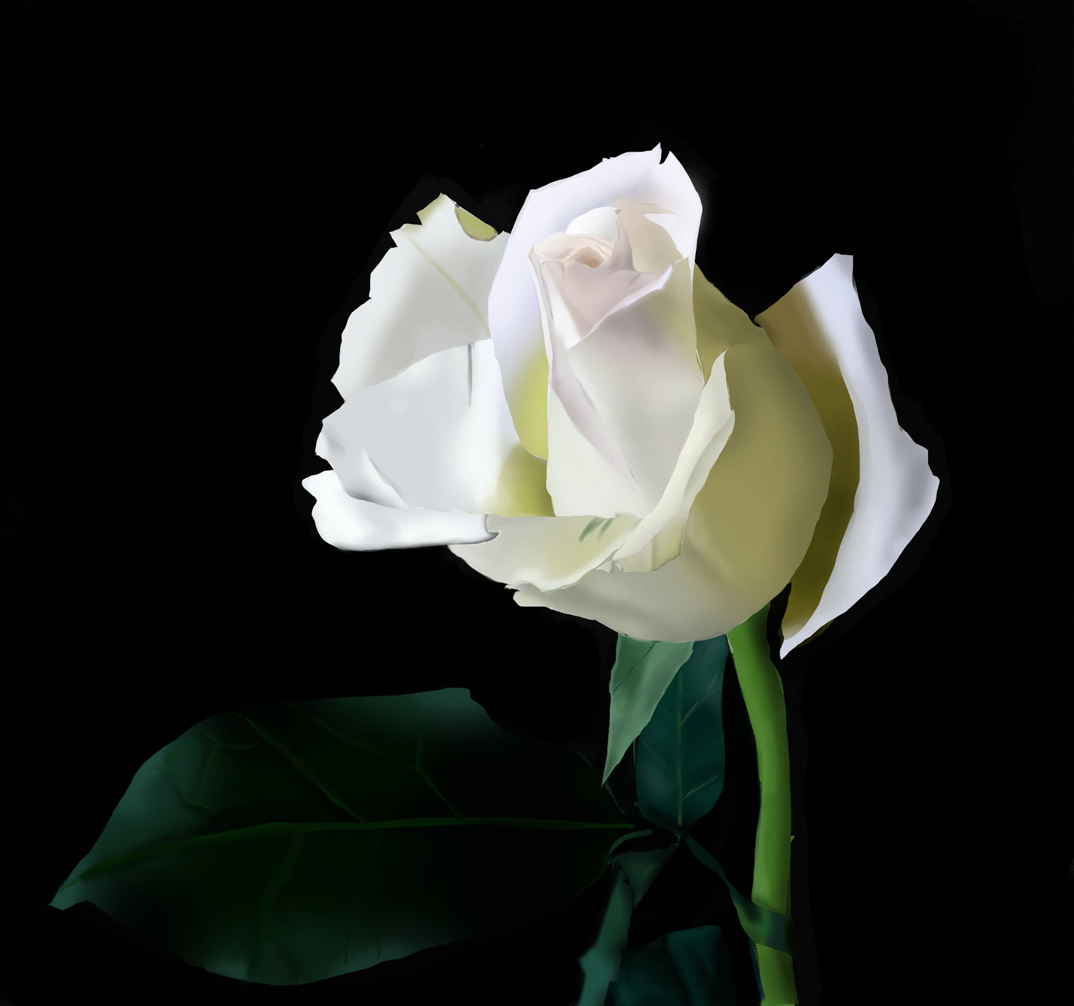 photo_exercice_lasso2 FLEUR.jpg