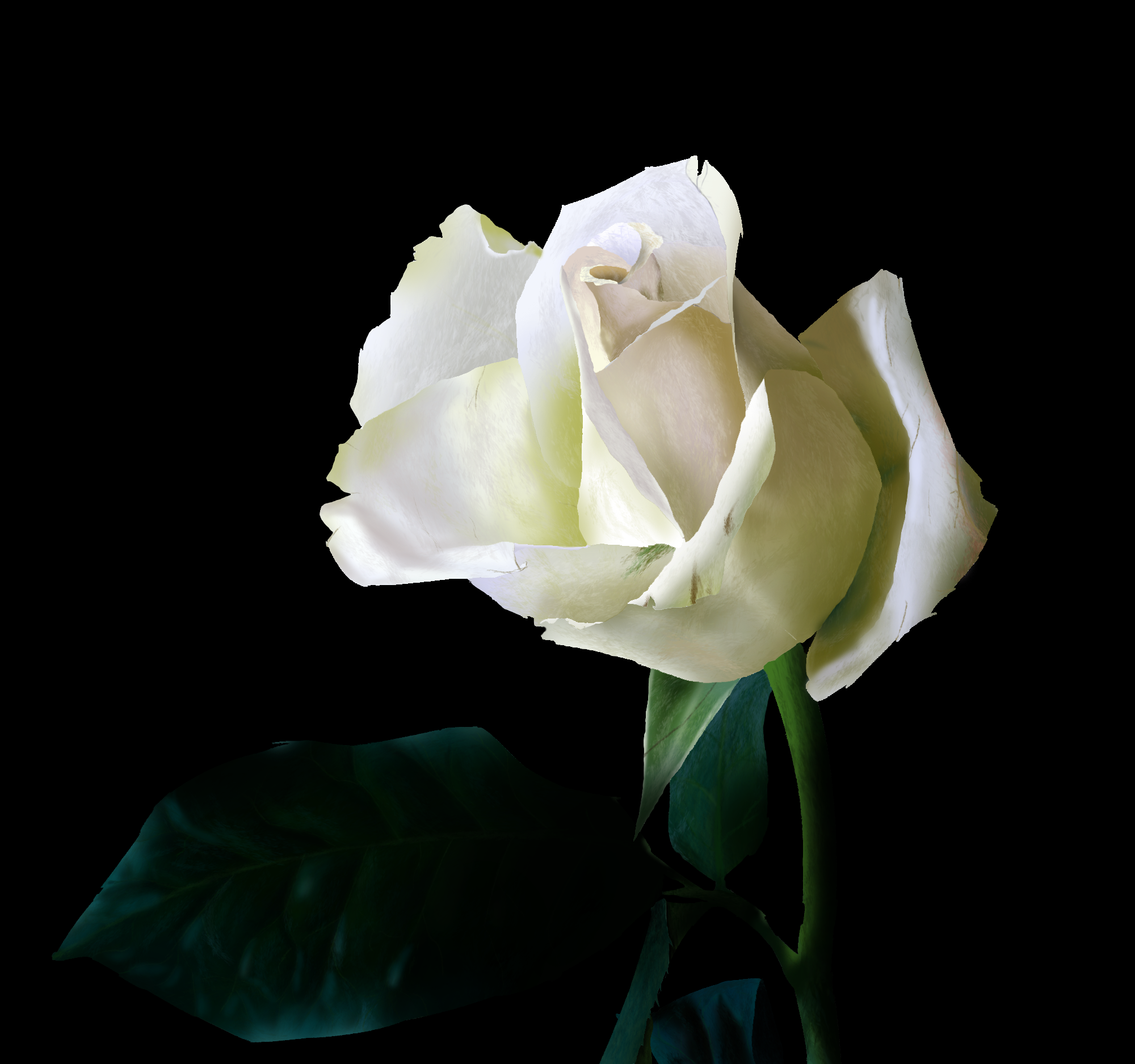 353820402_tudesrose.png.a49c94b64b3b5dd427f751420d9607aa.png