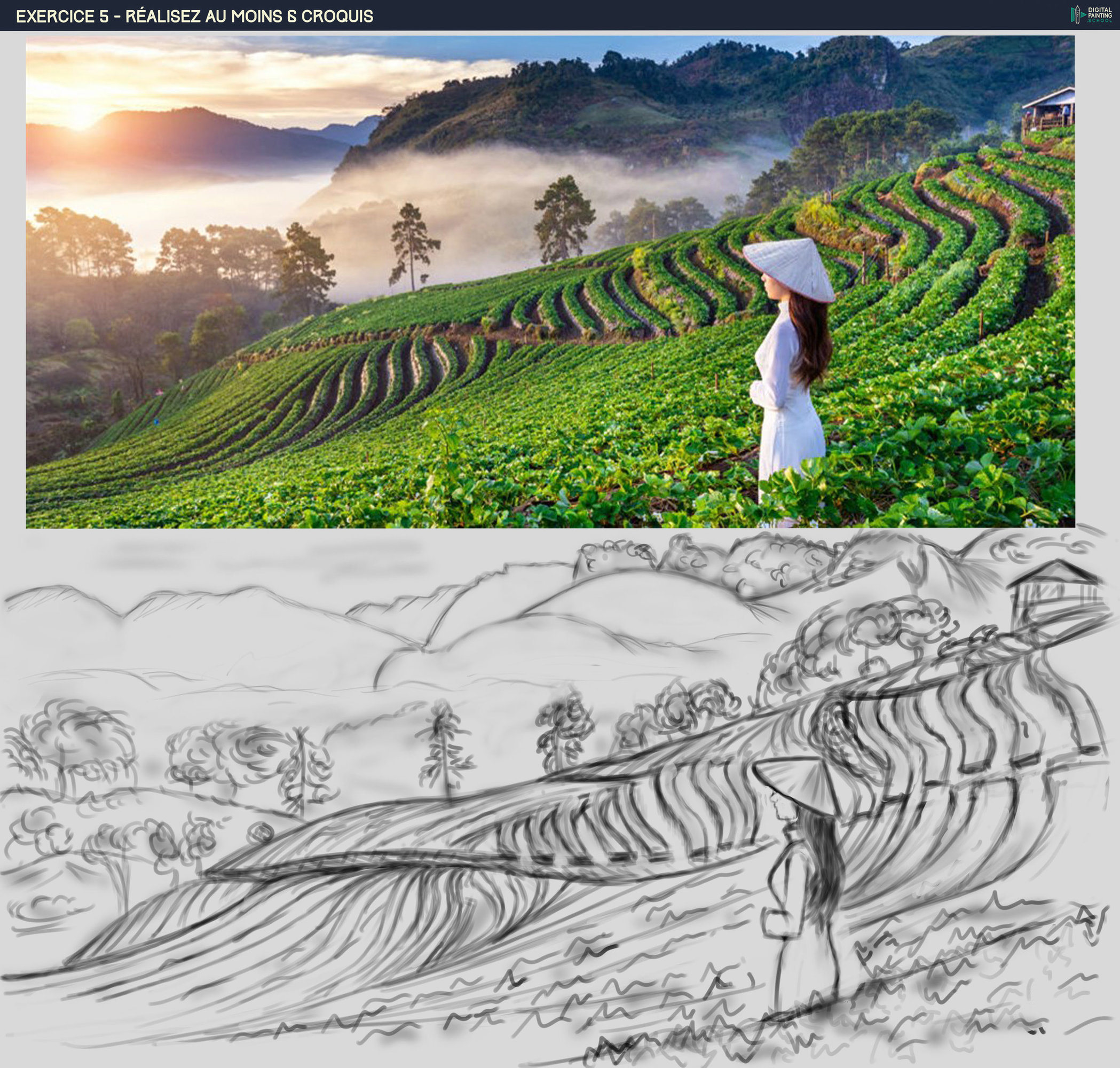 DPS-Prog-1-2-exercice5-paysage thé V3.jpg