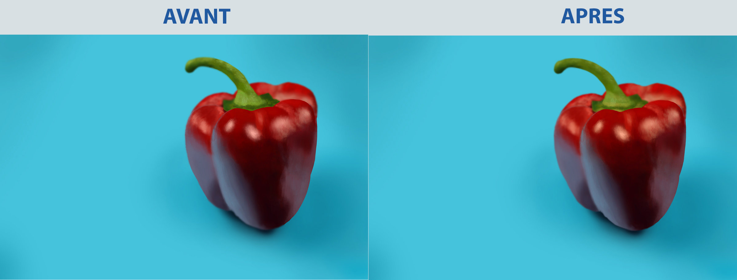 567112328_poivron-avant-aprs.jpg.4f5853ce5882e49c5151ab06910378d7.jpg