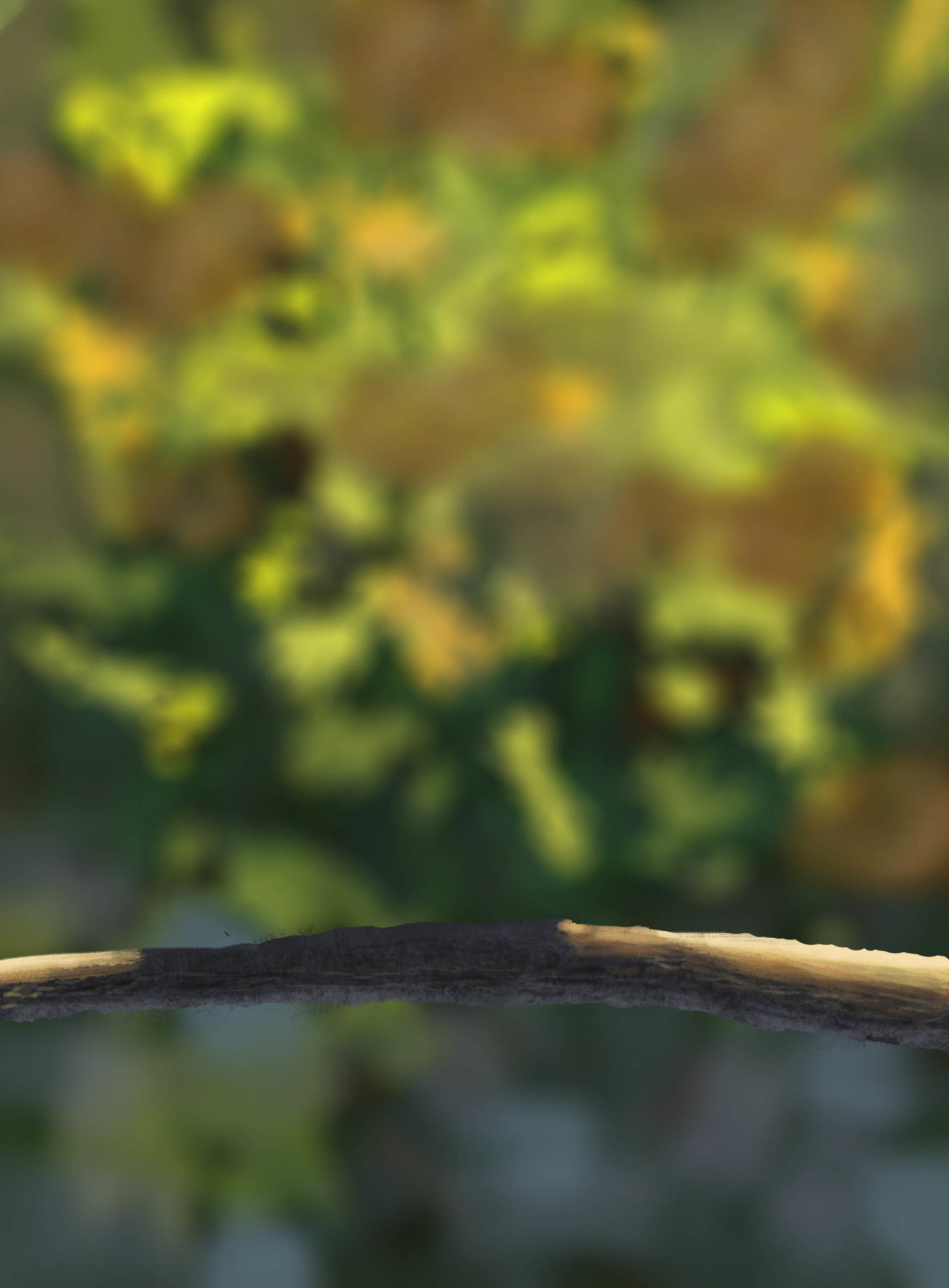 Oiseau étape 1 .jpg