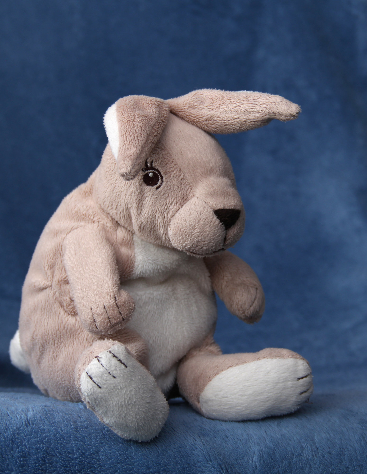 plush-bunny-1412444.jpg