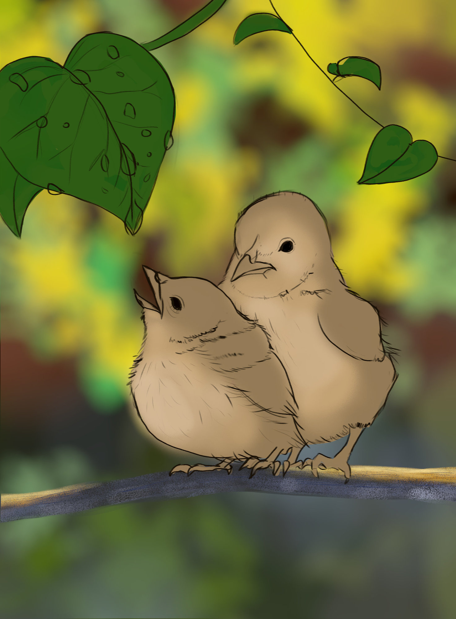 oisillon basecouleur.jpg