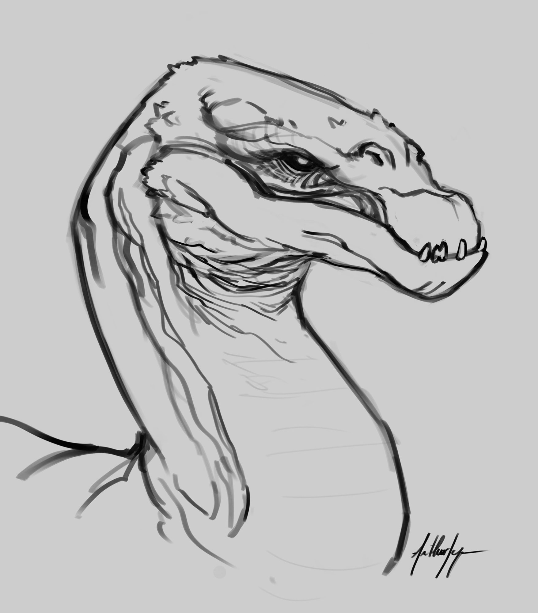 dragon croquis small.jpg