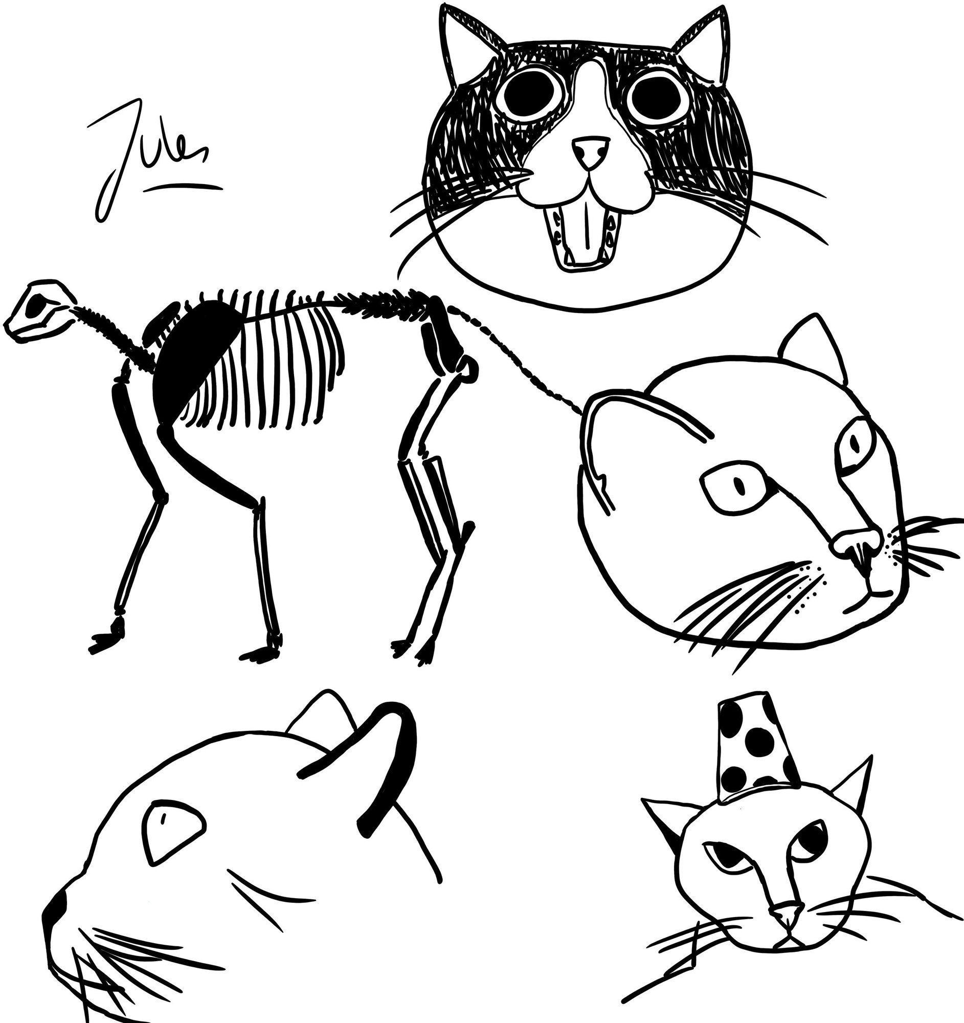 Croquis-chat.jpg