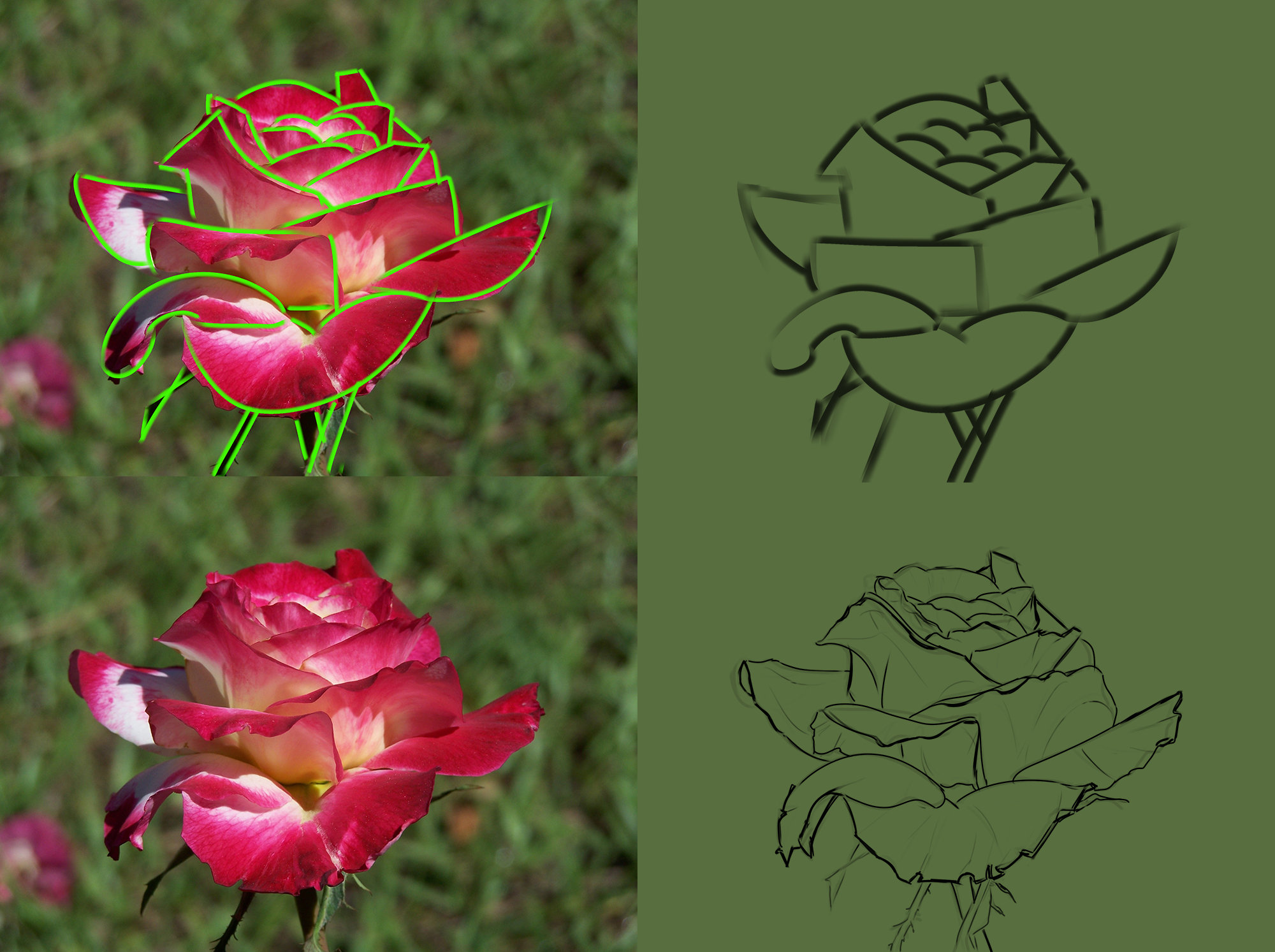 rose.jpg.28c537441e325b0735b9ceec4aa4f03b.jpg