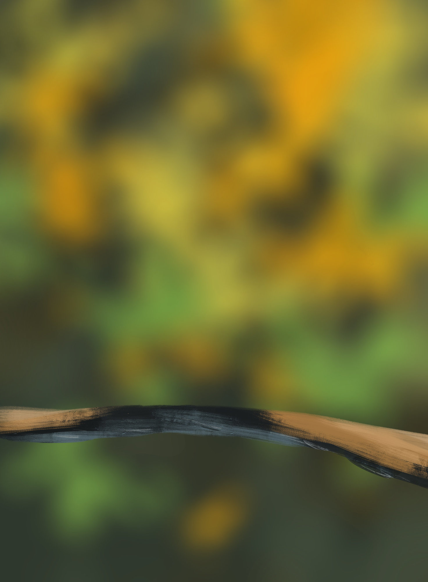 DPS Prog-1-1-Exercice5-Oiseau-Commencement.jpg