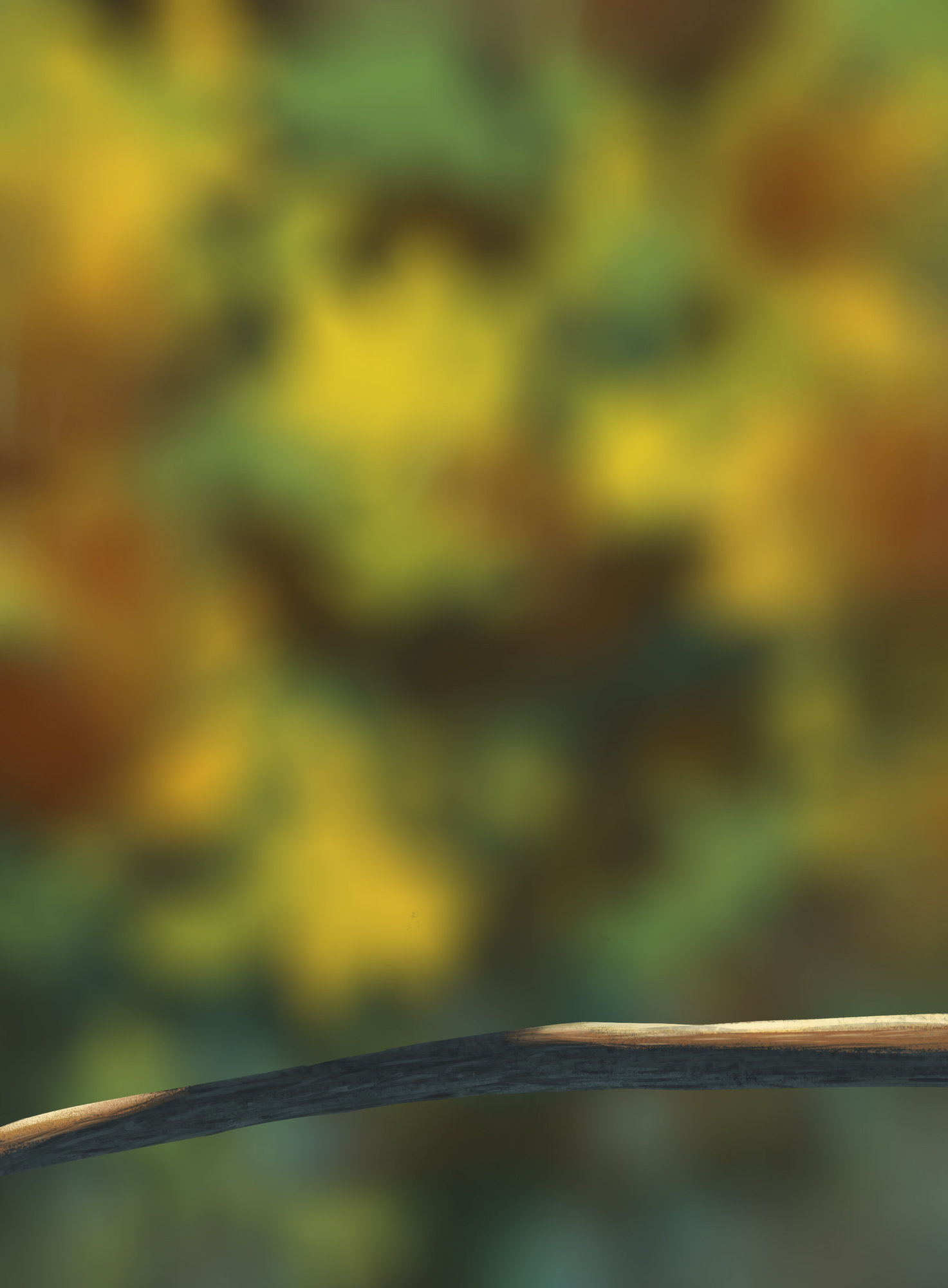 Petits oisillons tout mignons.jpg