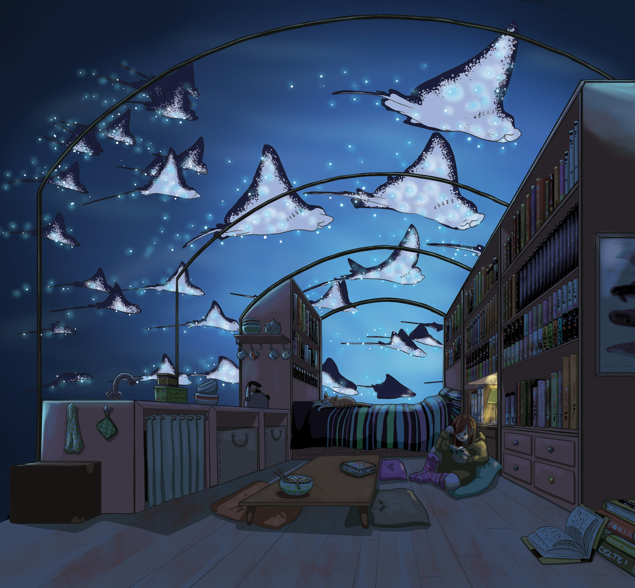 maison bibliothèque  couleur 5.2 petit.jpg