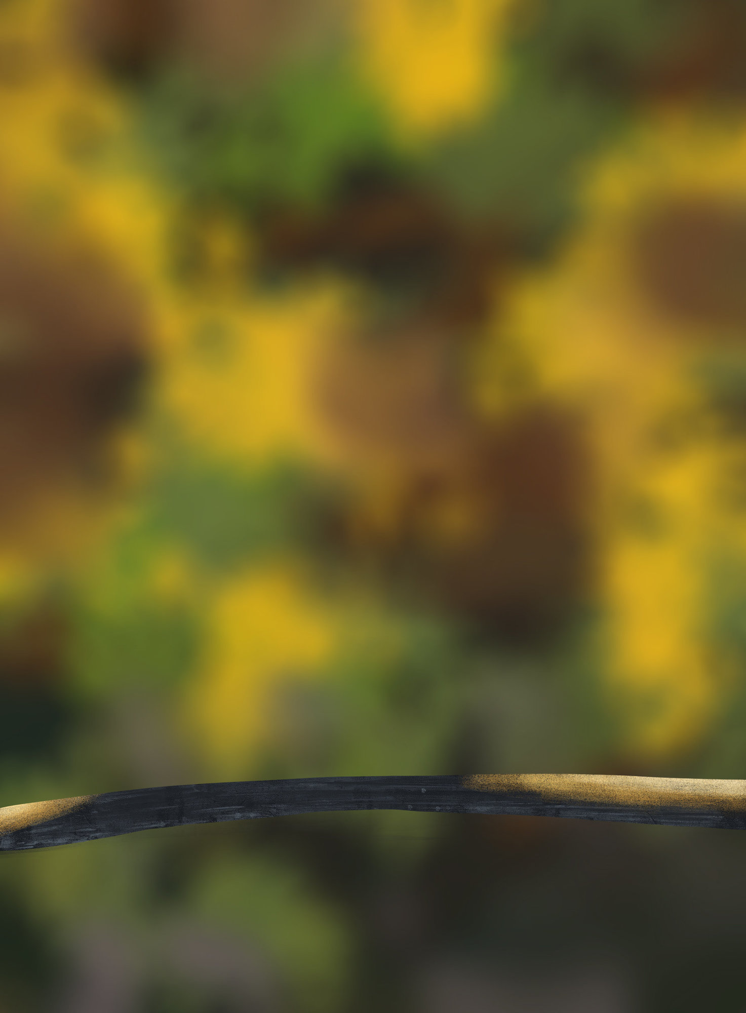 DPS Prog-1-1-Exercice5-Oiseau-Etape1_en_cours_2.jpg