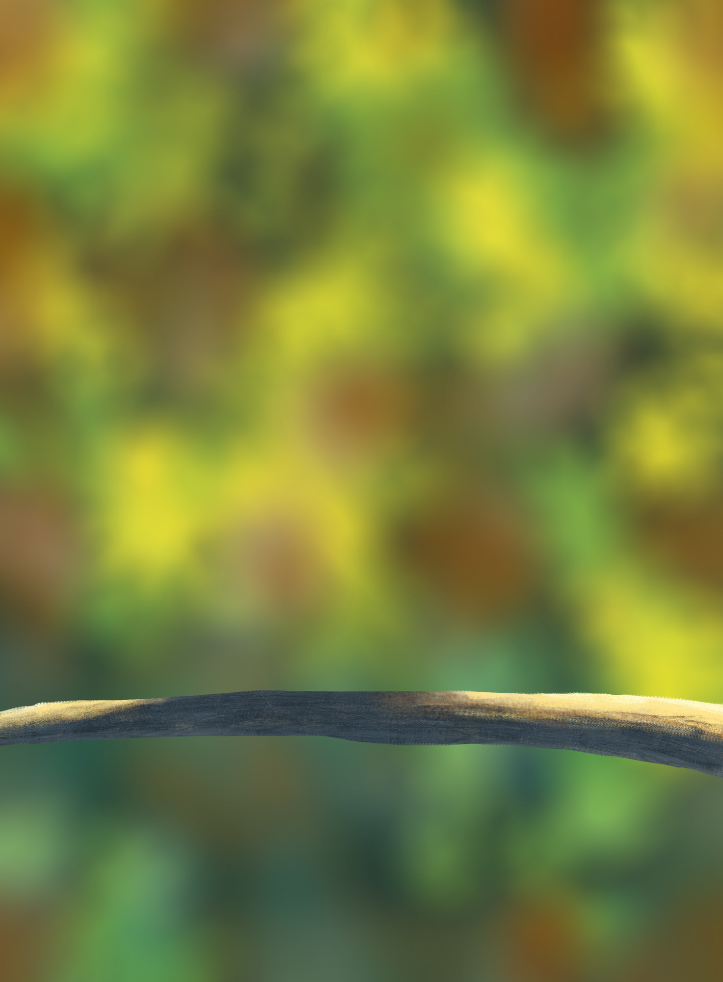 DPS Prog-1-1-Exercice5-Oiseau-Commencement.png