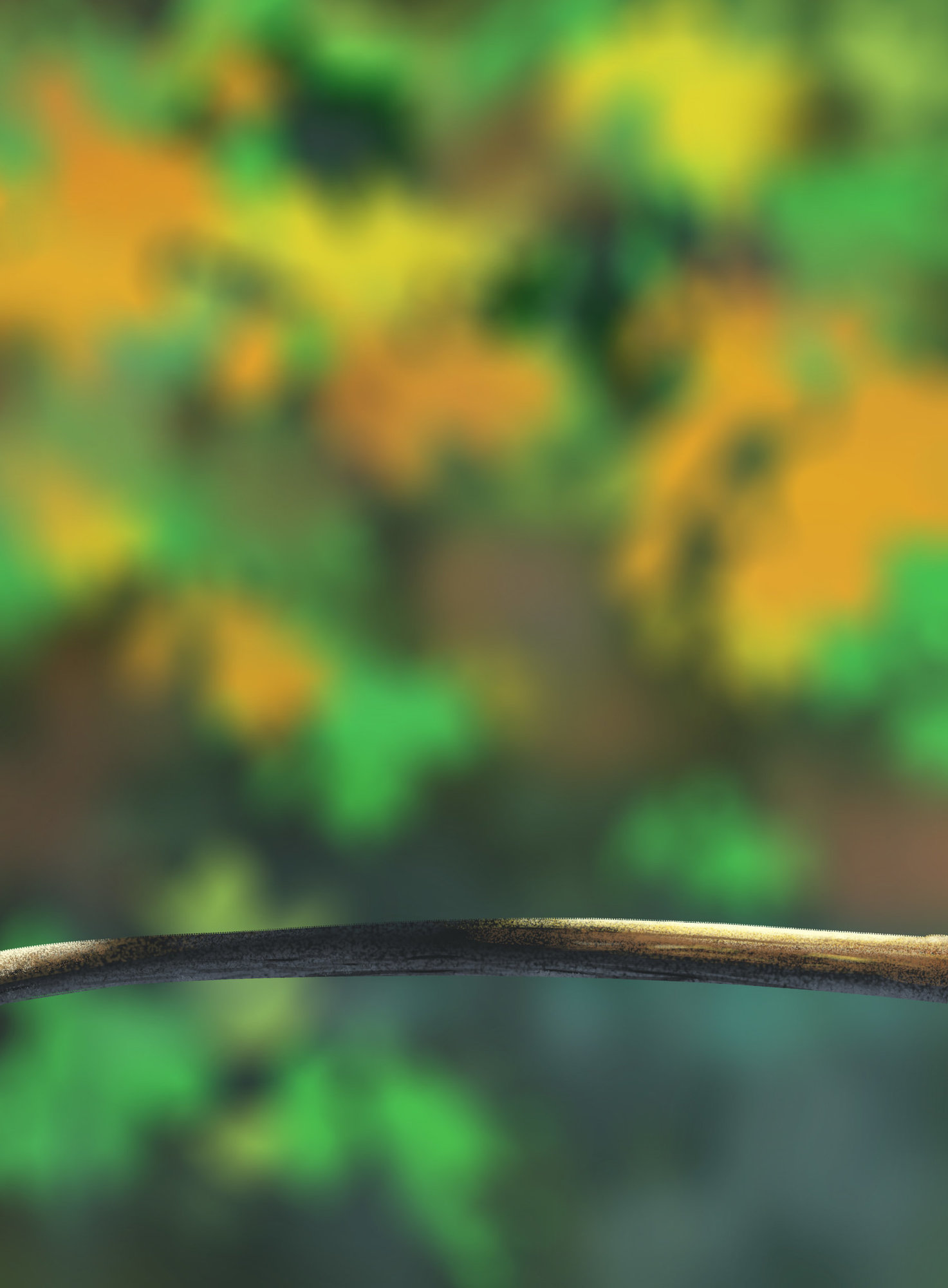 DPS Prog-1-1-Exercice5-Oiseau-Commencement.jpg