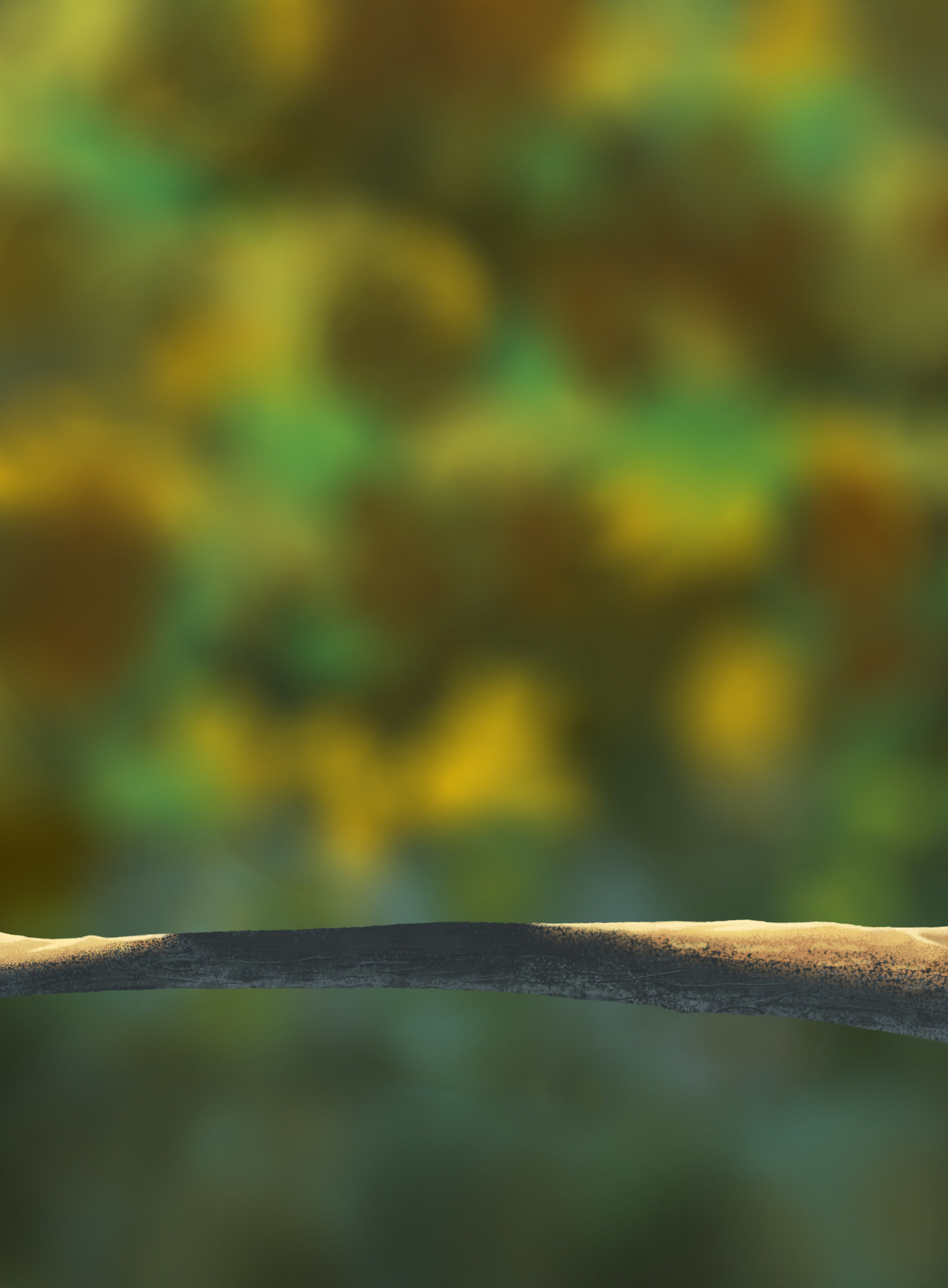 Exercice 5_Branche.jpg