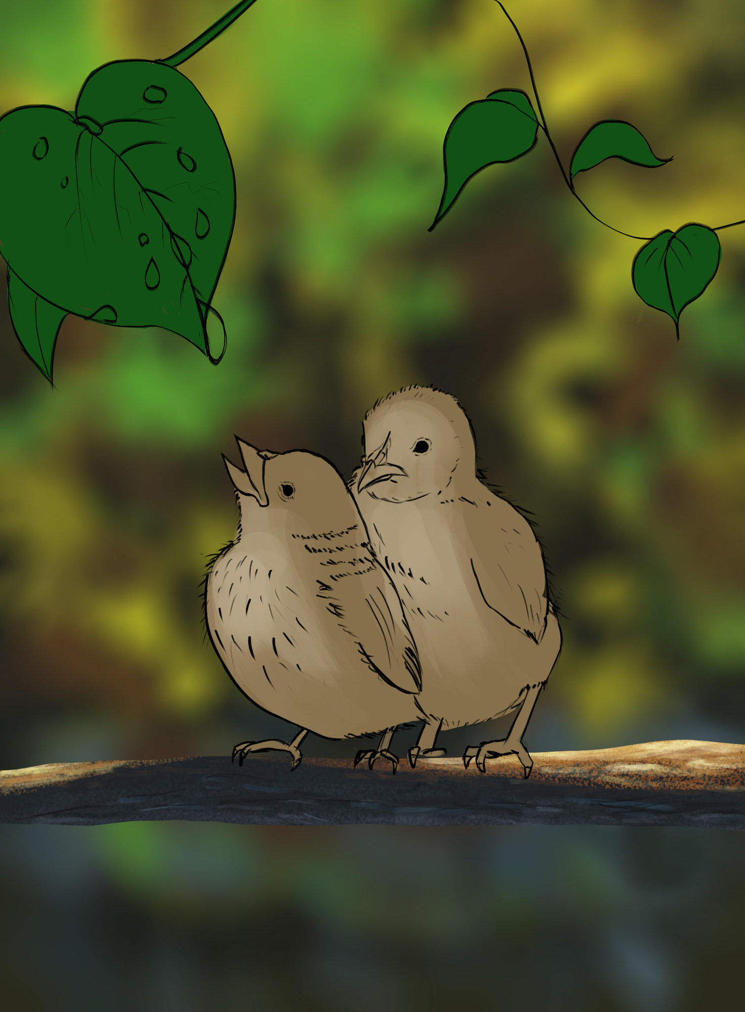 illustration des oisillons croquis fini.jpg