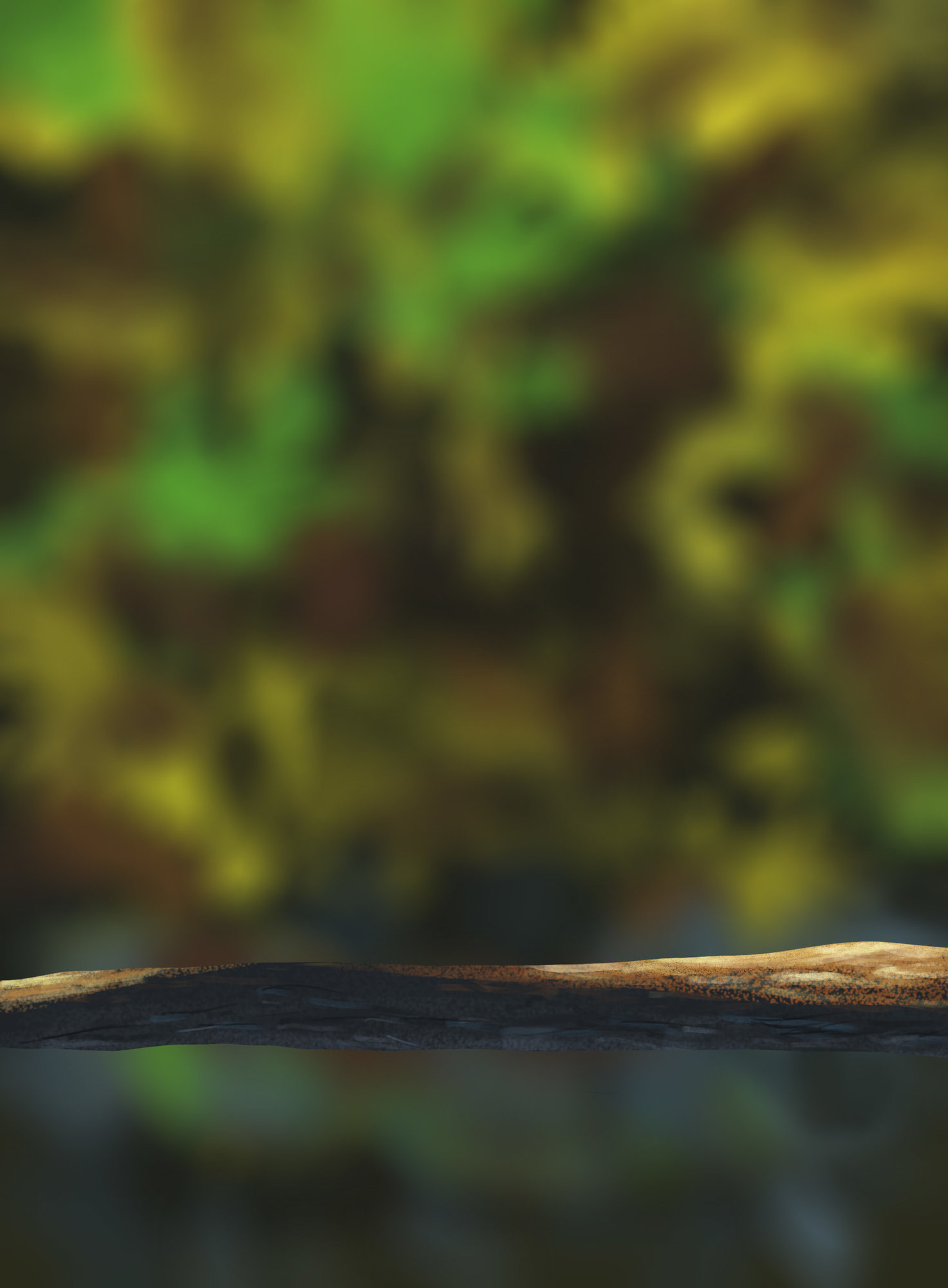 illustration des oisillons.jpg