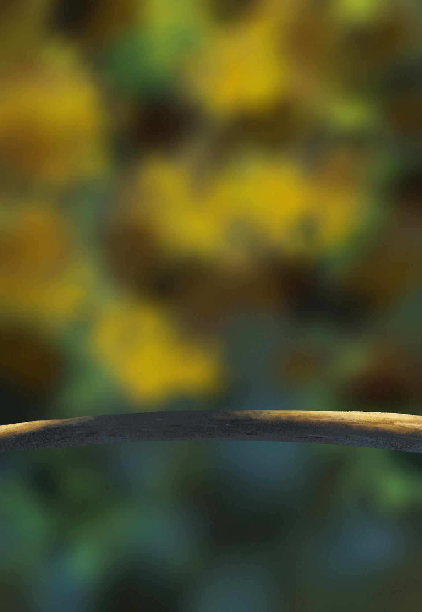 Illustration oisillons.jpg